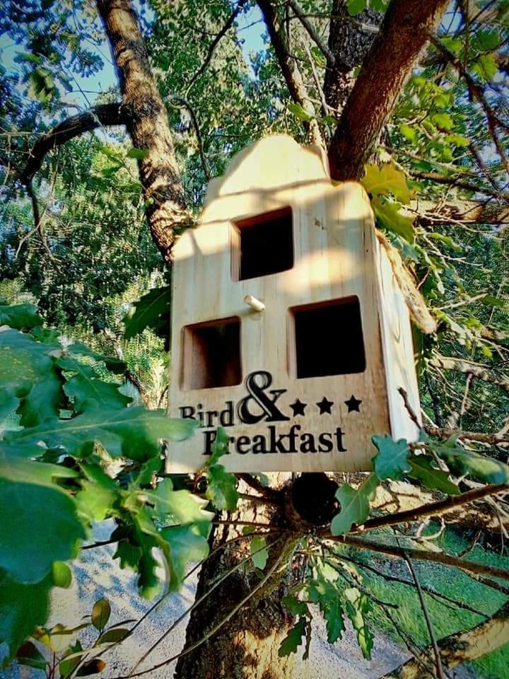 Casa nel bosco il Grottone