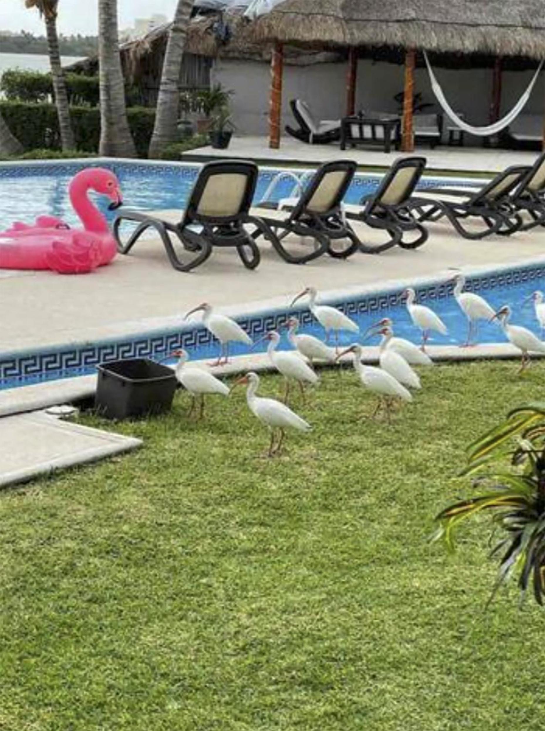 Villas La Marina