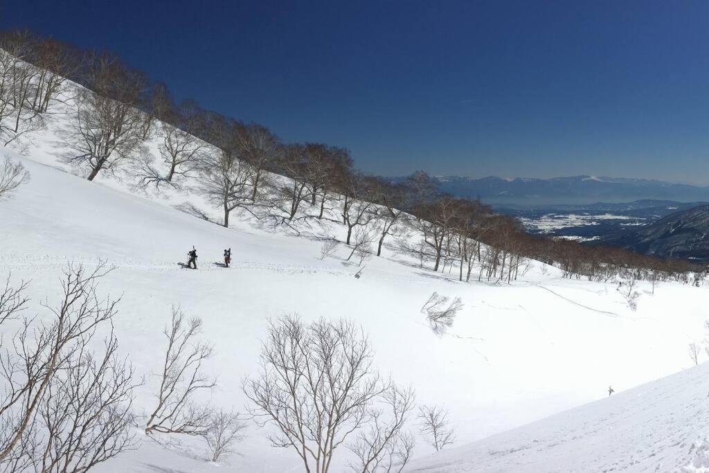 Wasabi Wonderland, Boutique Chalet sleeps 10 view 5