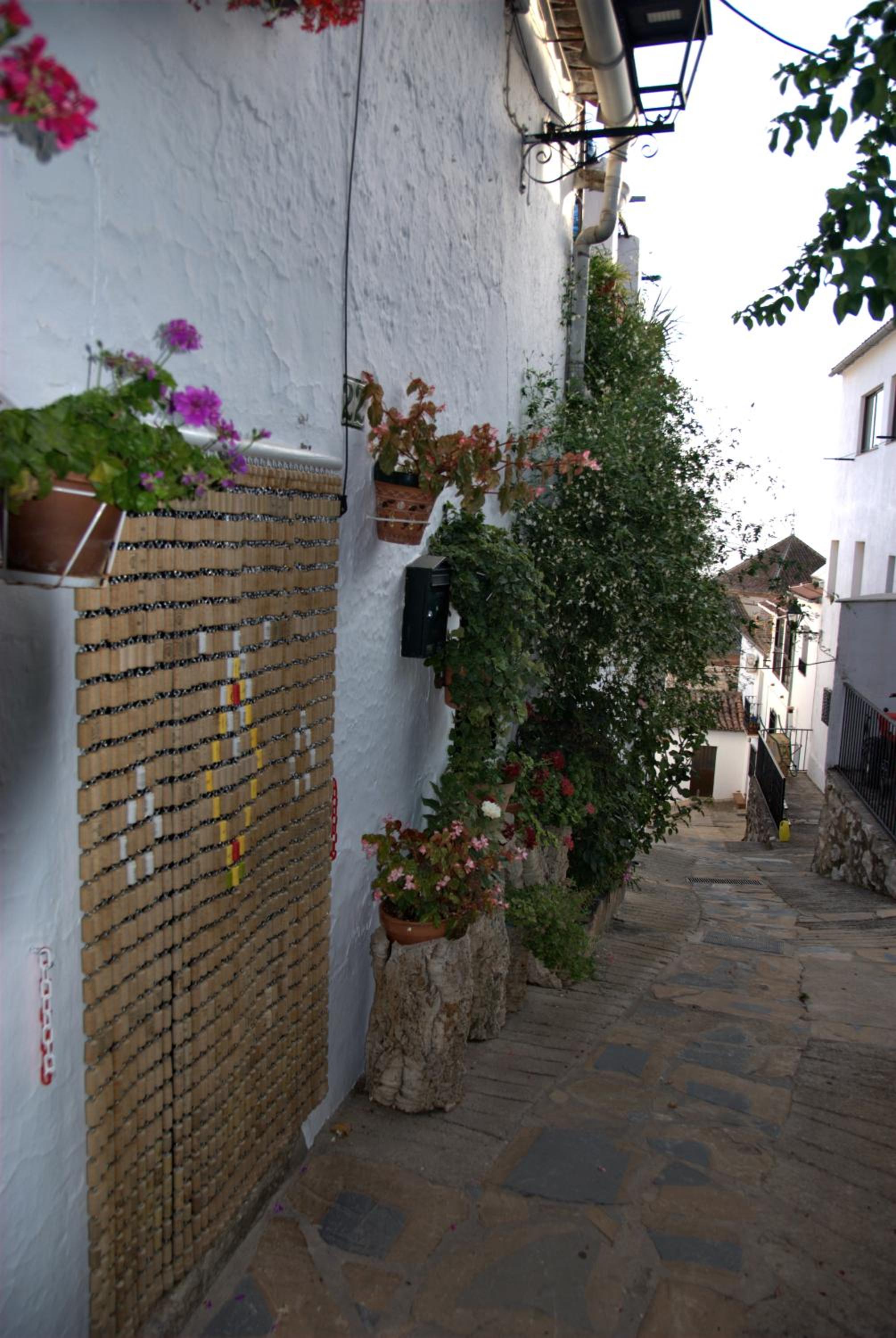 Photo 29