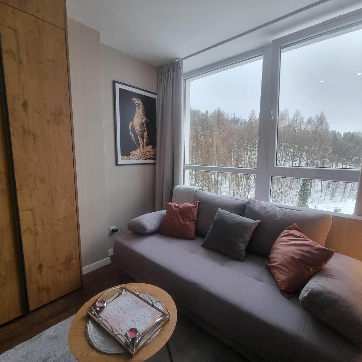 Apartament SPA 56 Resort Kozubnik blisko Szczyrk - 5D Apartamenty