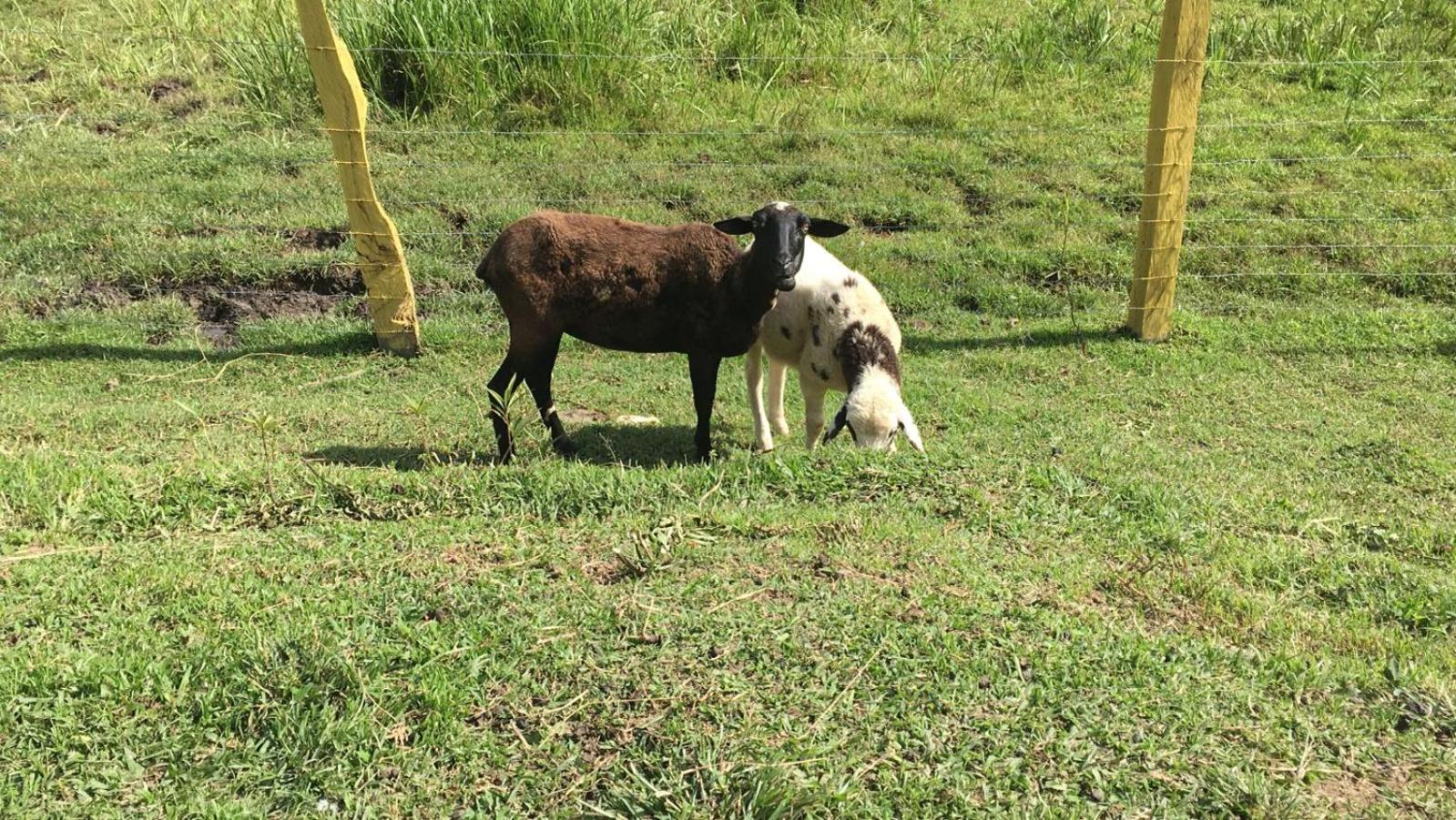 POUSADA PE NA TERRA EM GUARAREMA