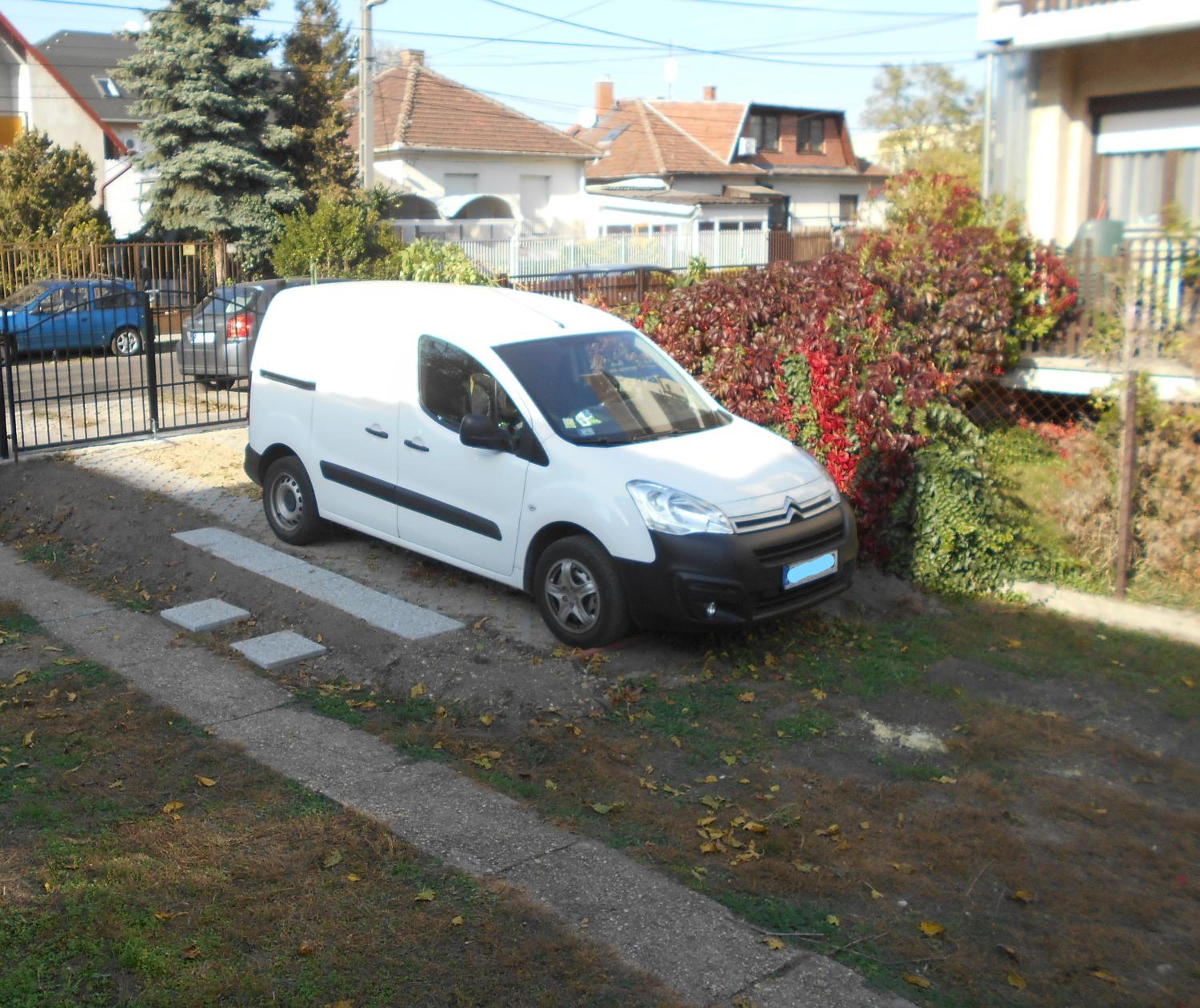 Photo 11