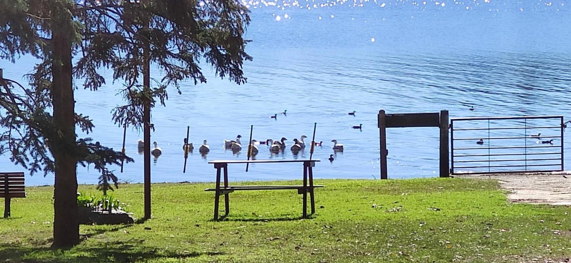 Cabañas Amanecer en el Lago