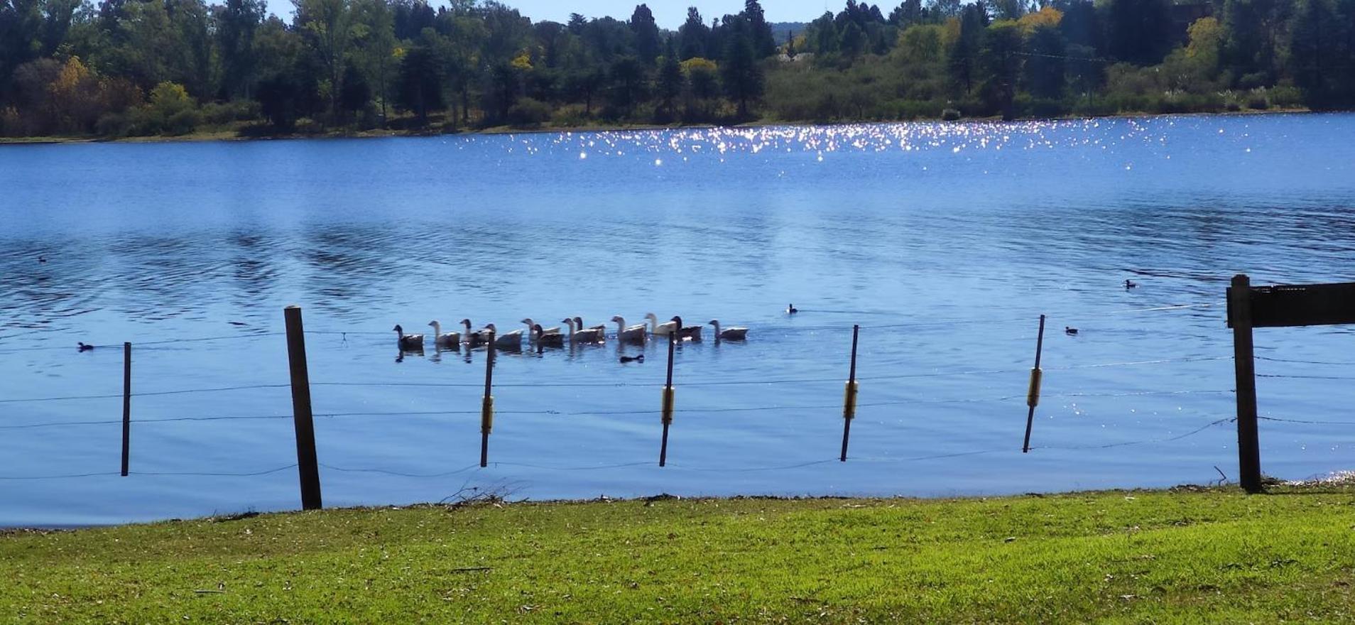 Cabañas Amanecer en el Lago