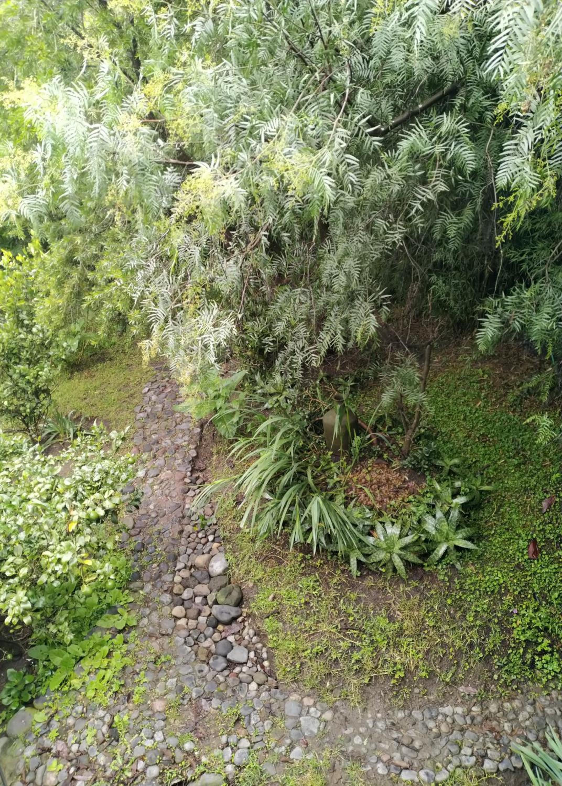Photo 22