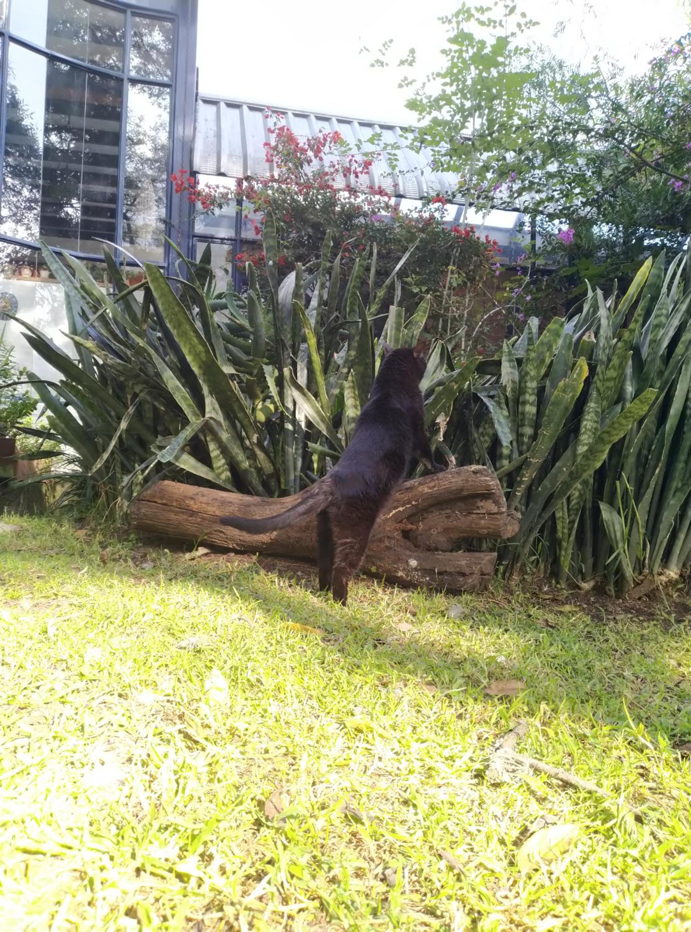 Photo 19