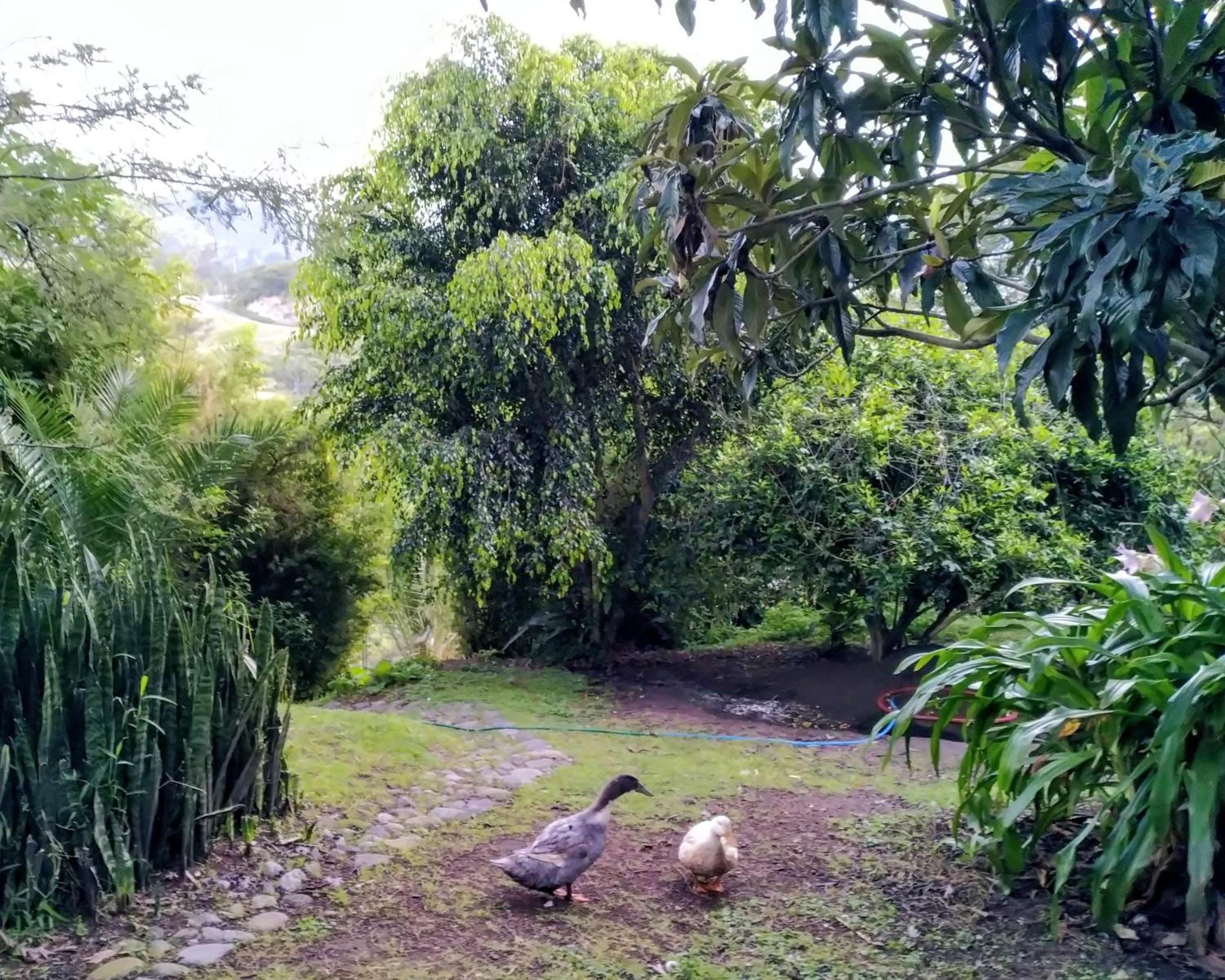 Photo 21