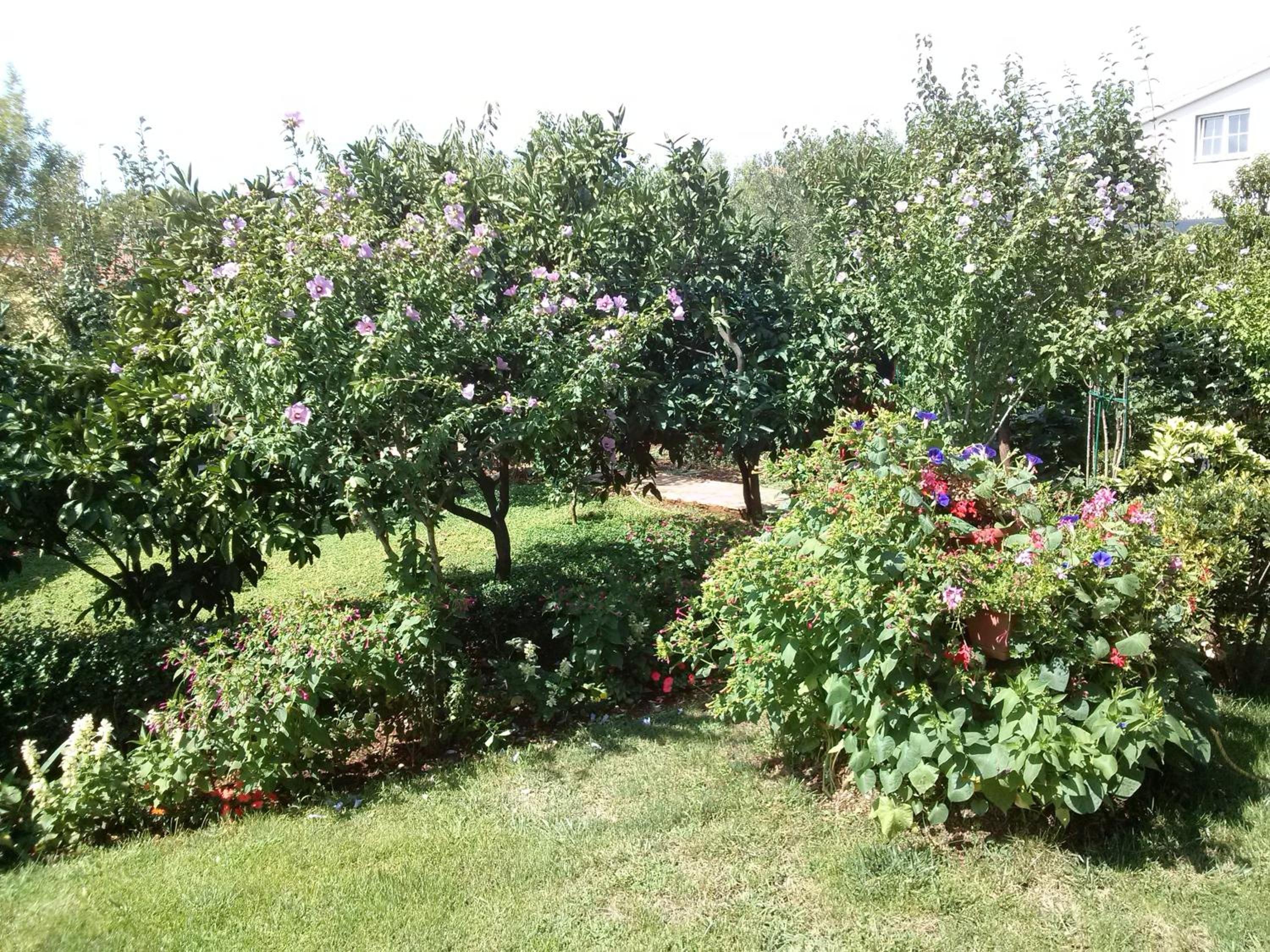 Photo 44