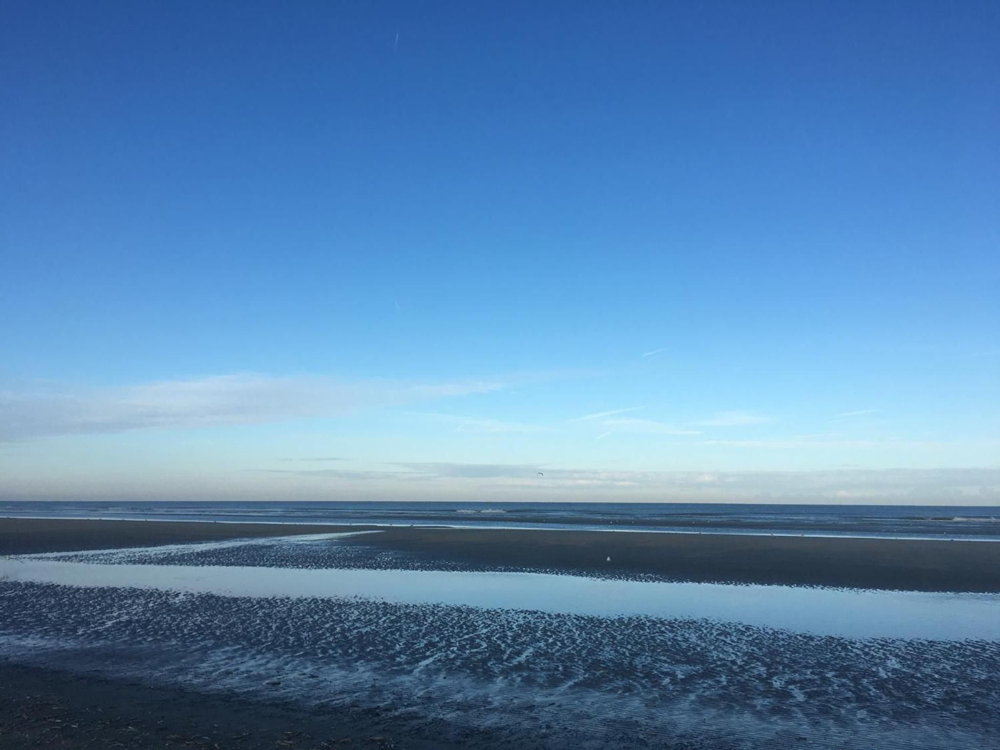 De Witte Berg met zonnig zeezicht & uniek terras!