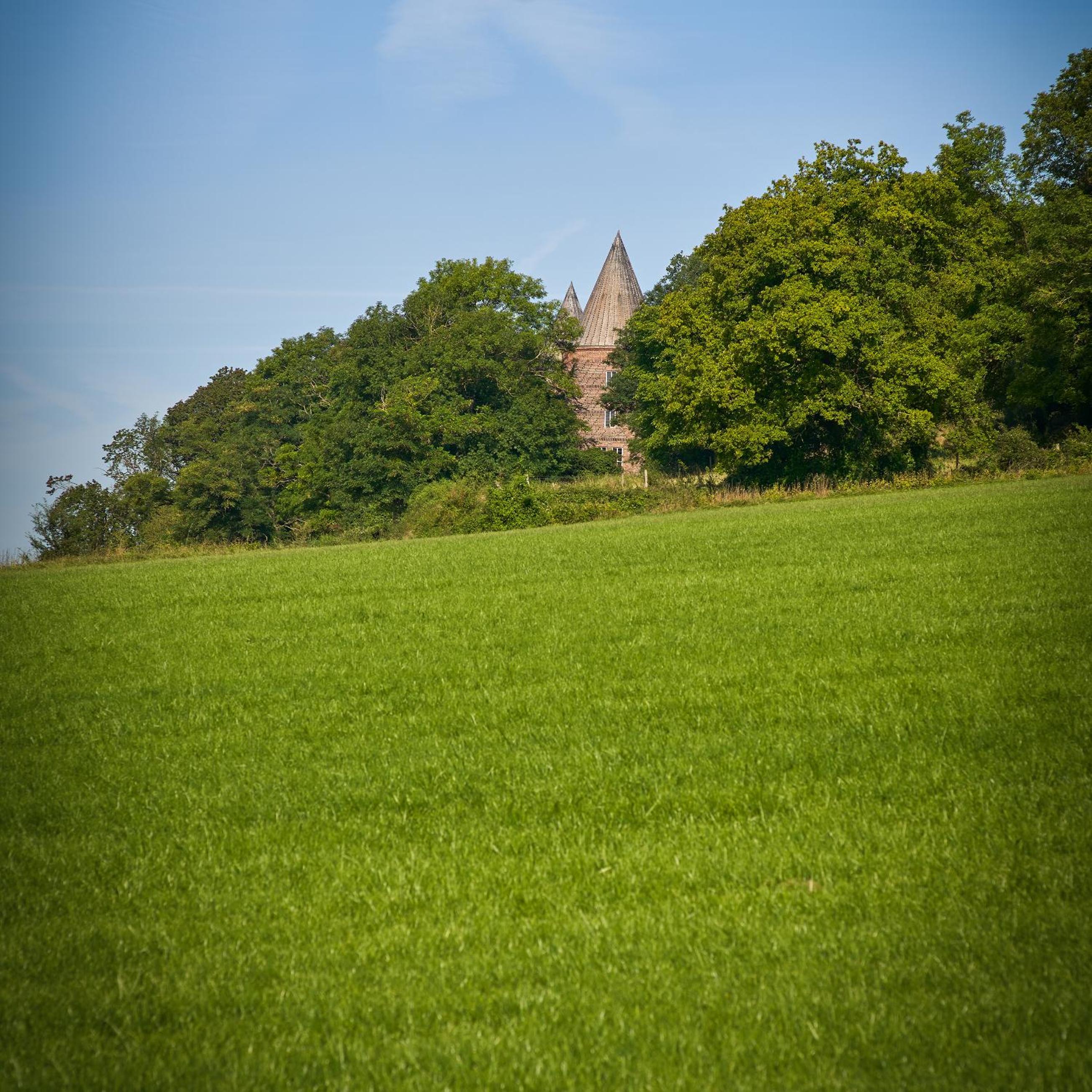 Photo 28