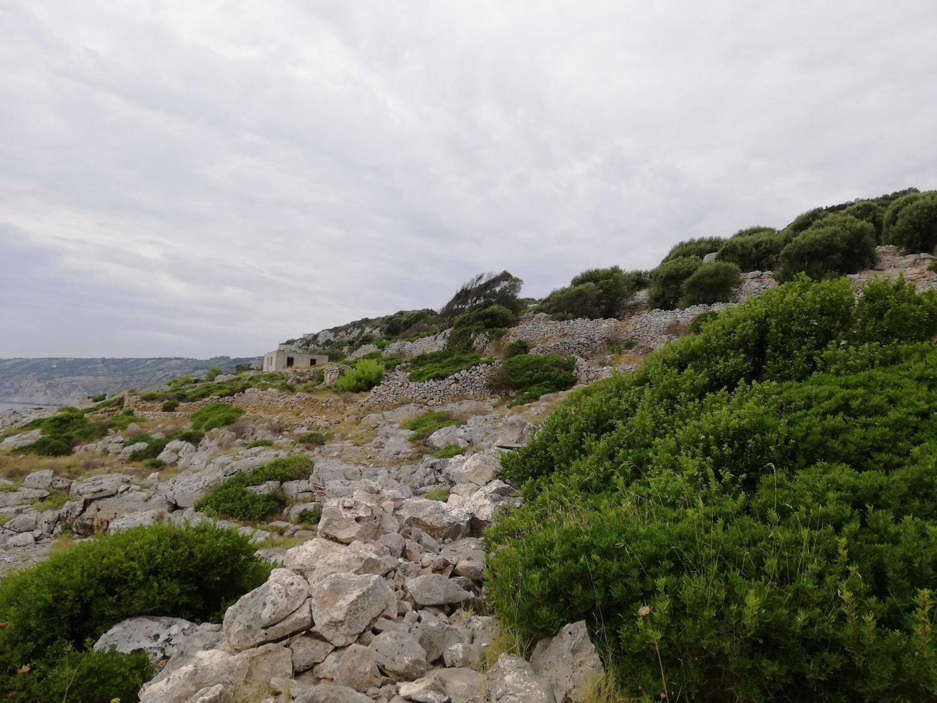 Villa SALENTO2 -doppio terrazzo panoramico vista mare mozzafiato immersa nella natura view 4