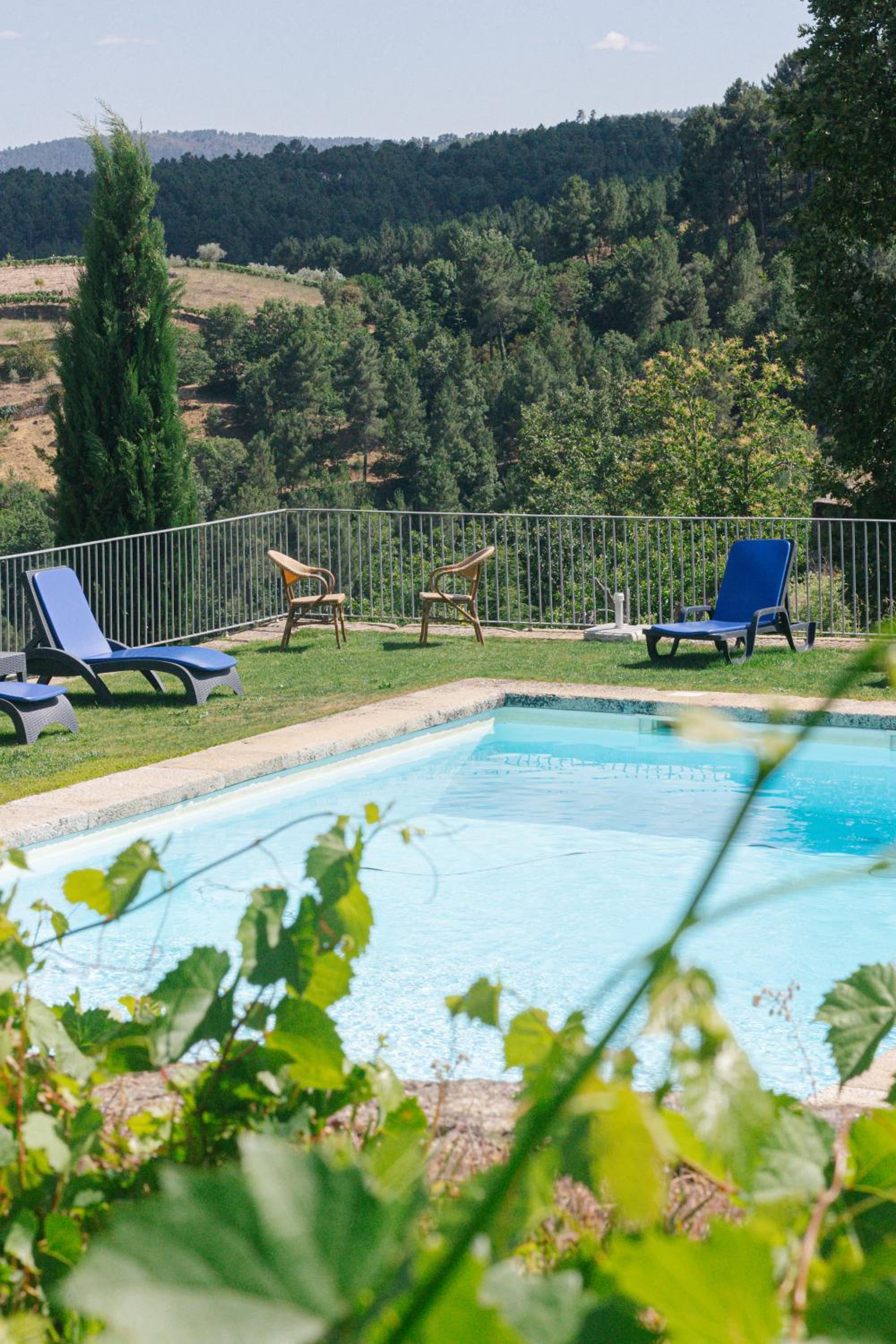 Photo 79