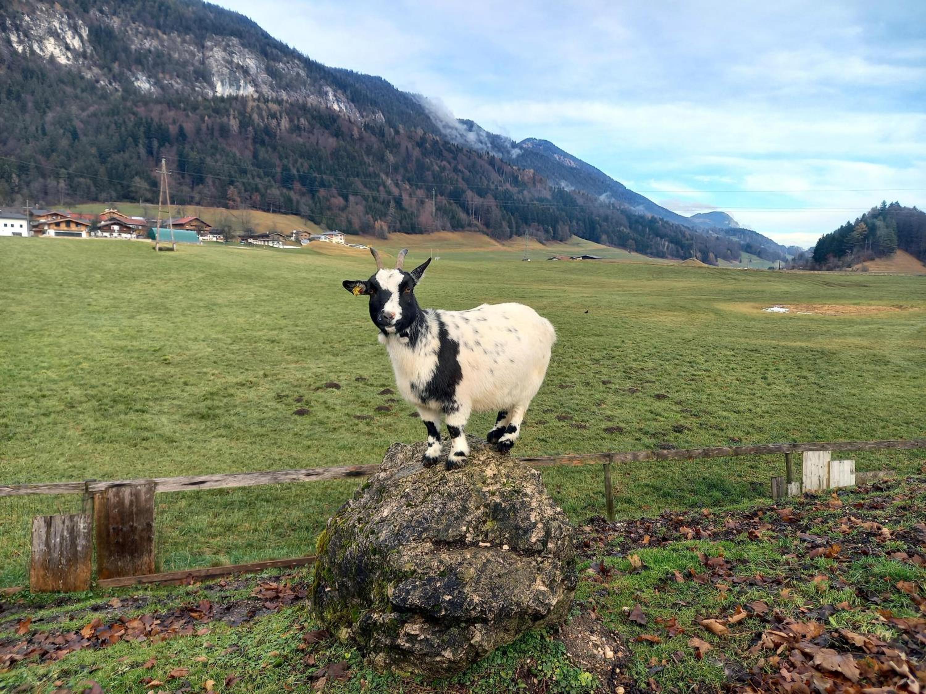 Ferienwohnung Bergtroll
