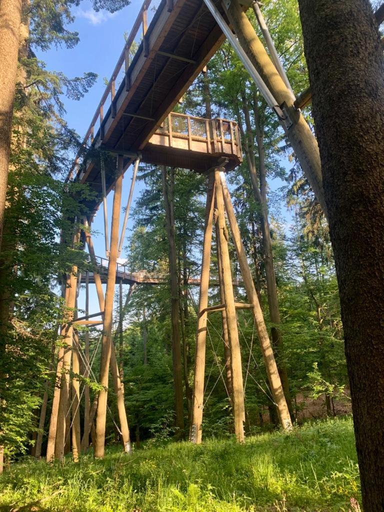 Apartmán Jestřáb Janské Lázně
