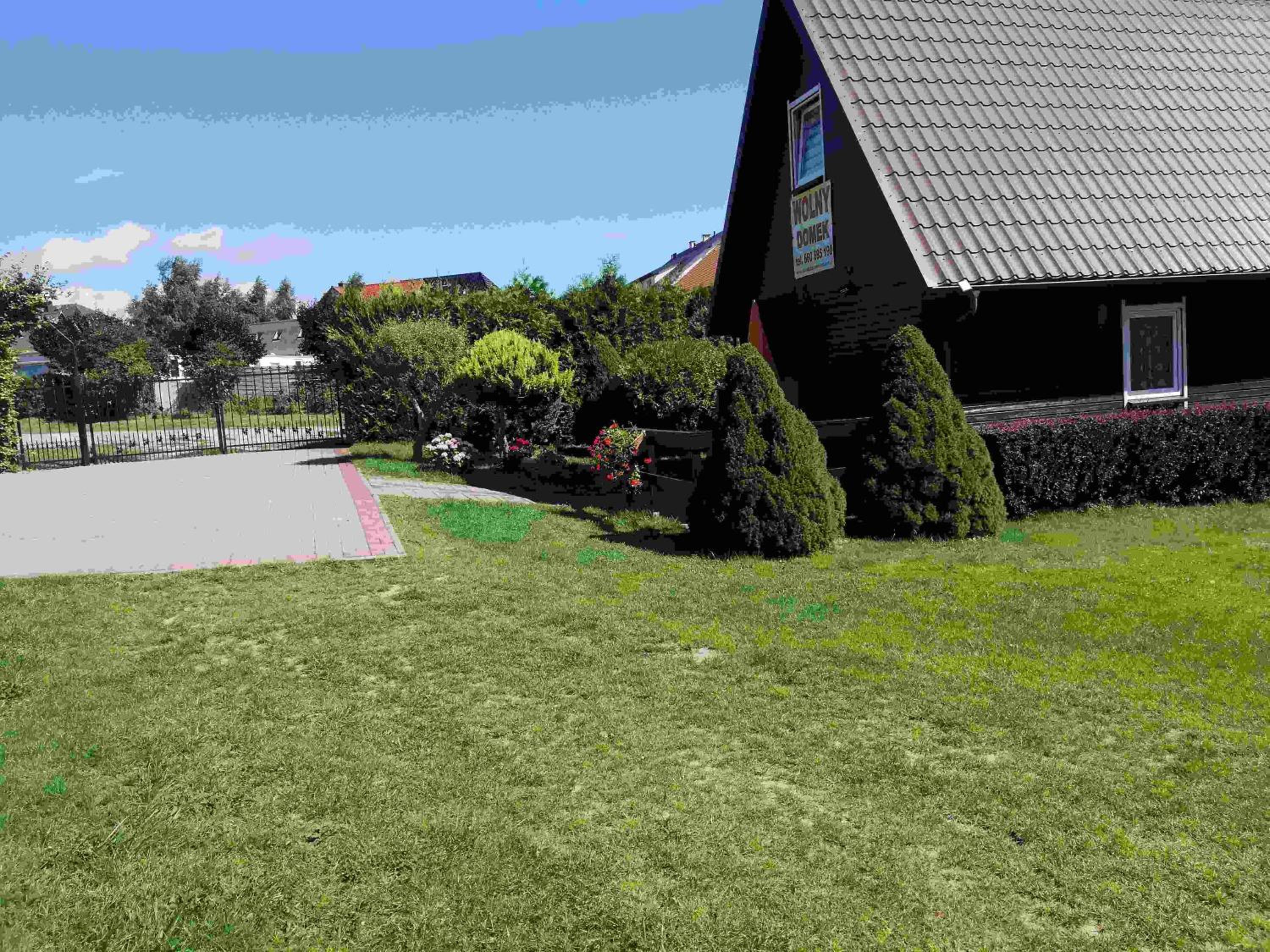Photo 11