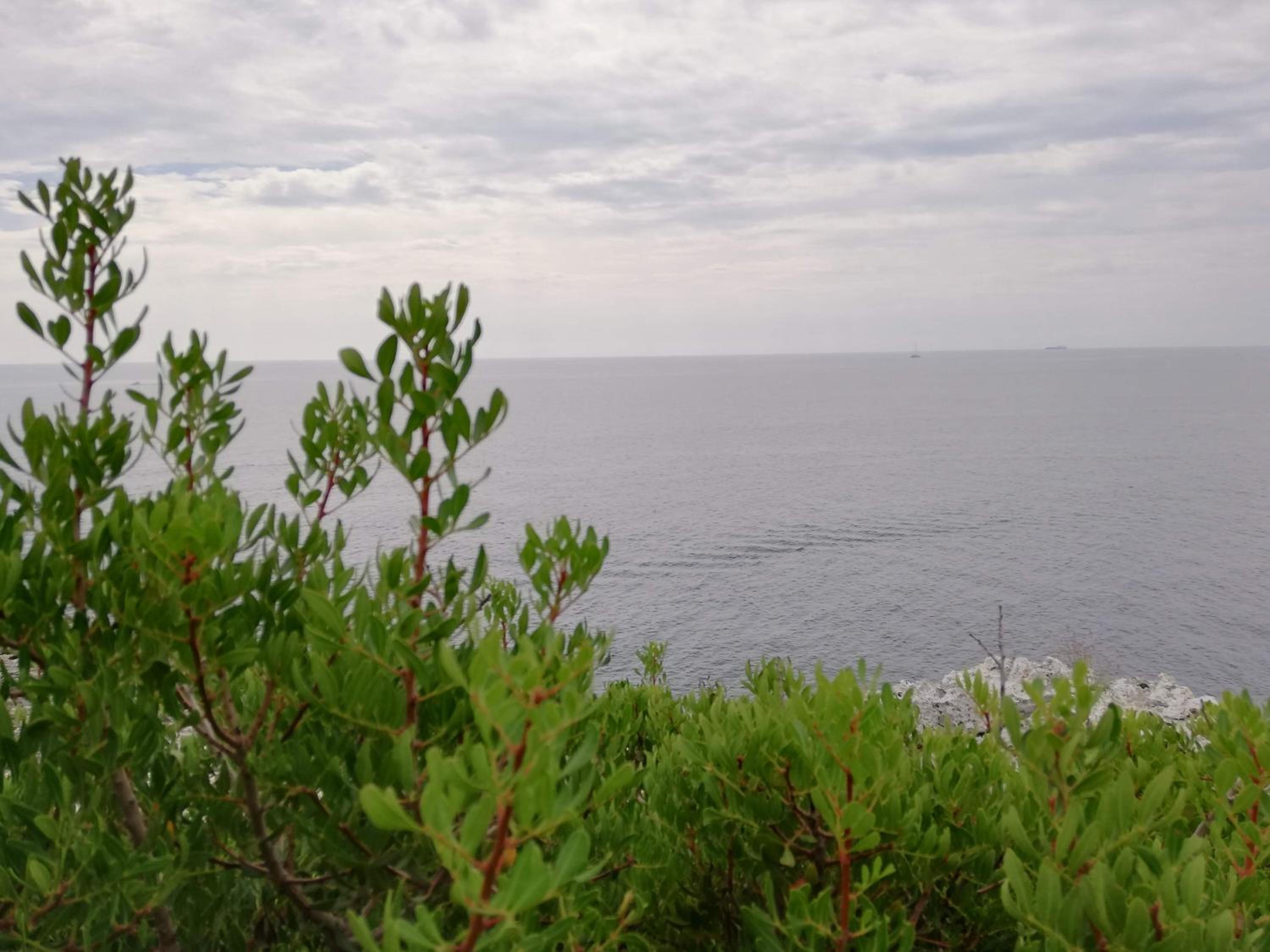 Photo 49