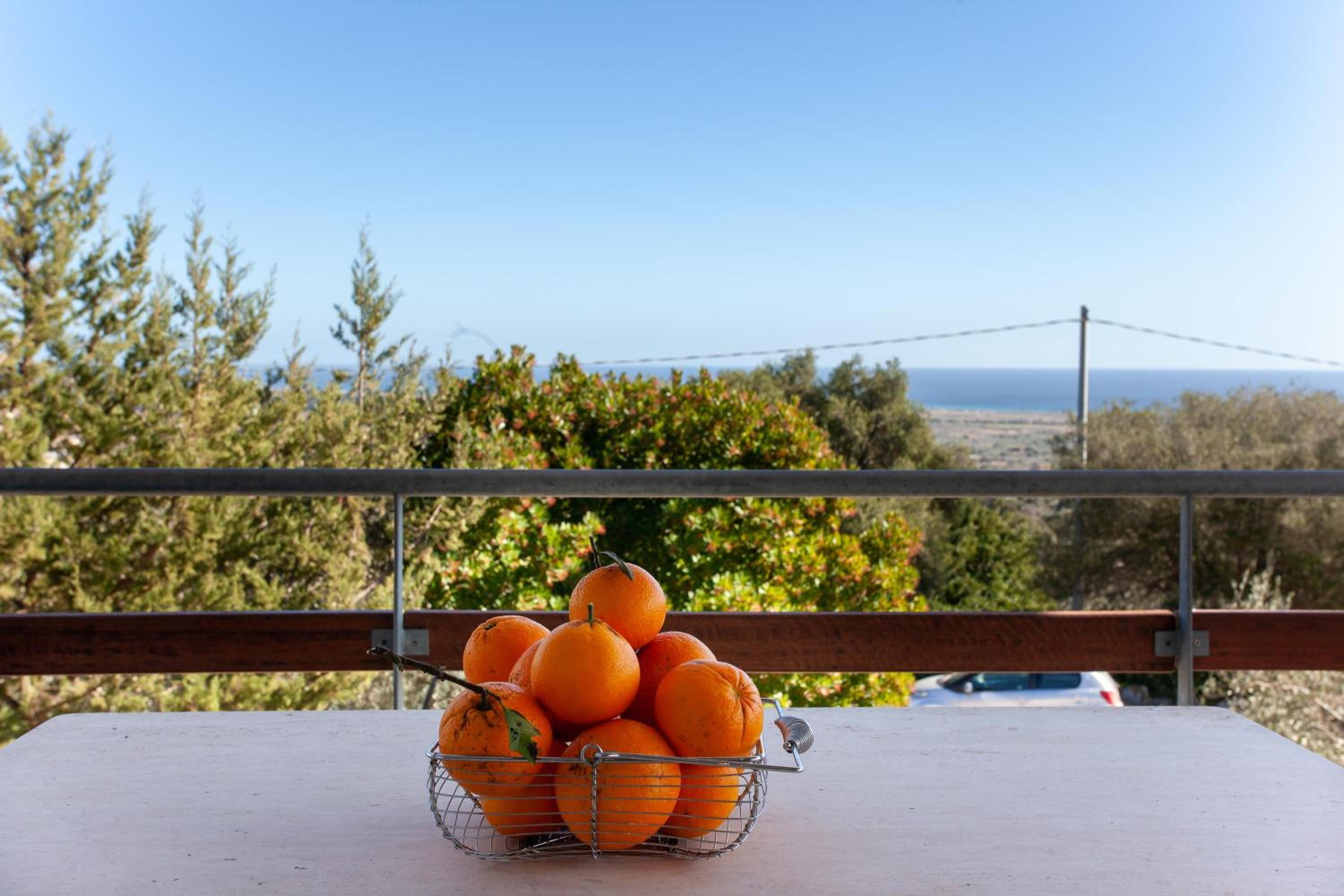 Hora Frisca view 3