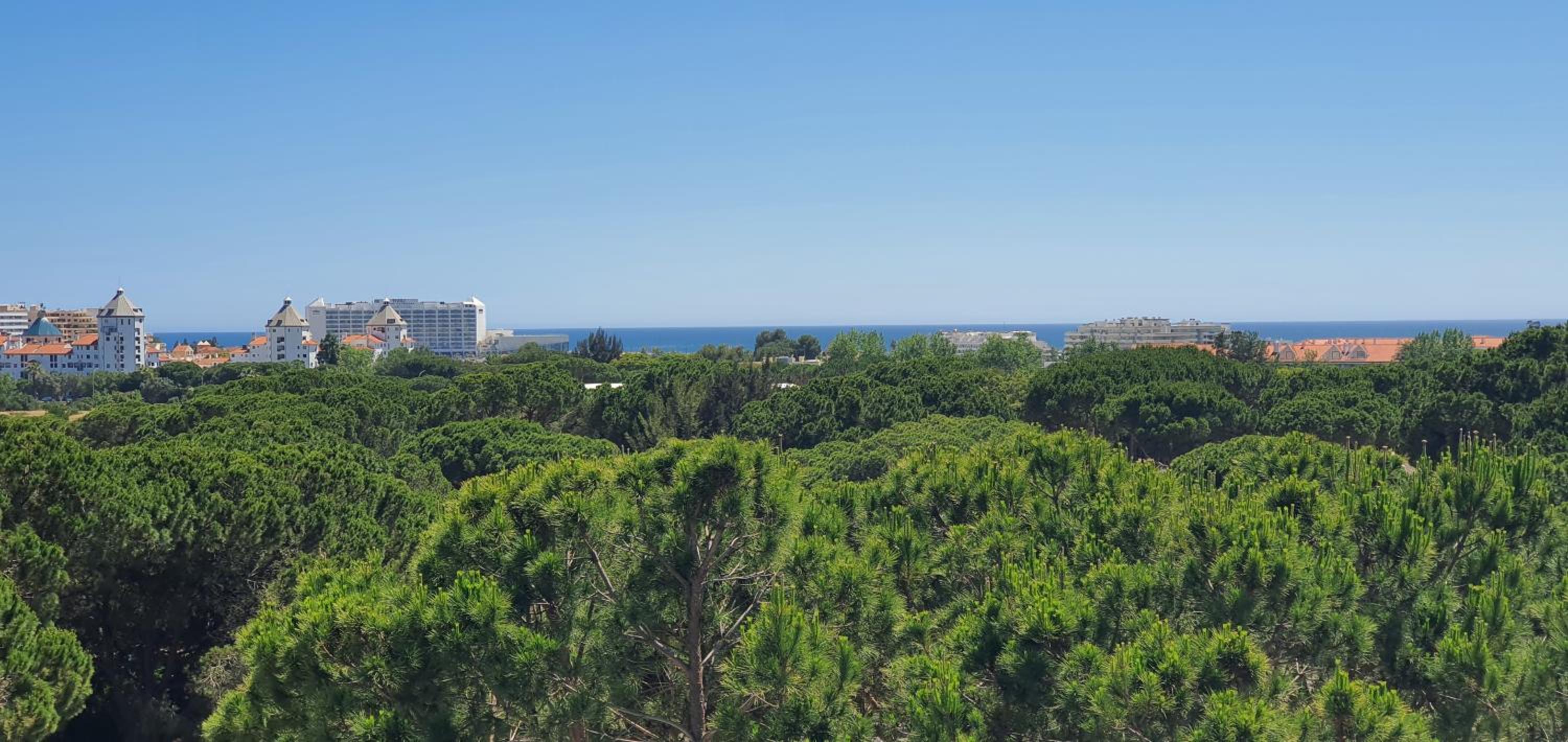 Golf & Mar - T2 Apartment view 2