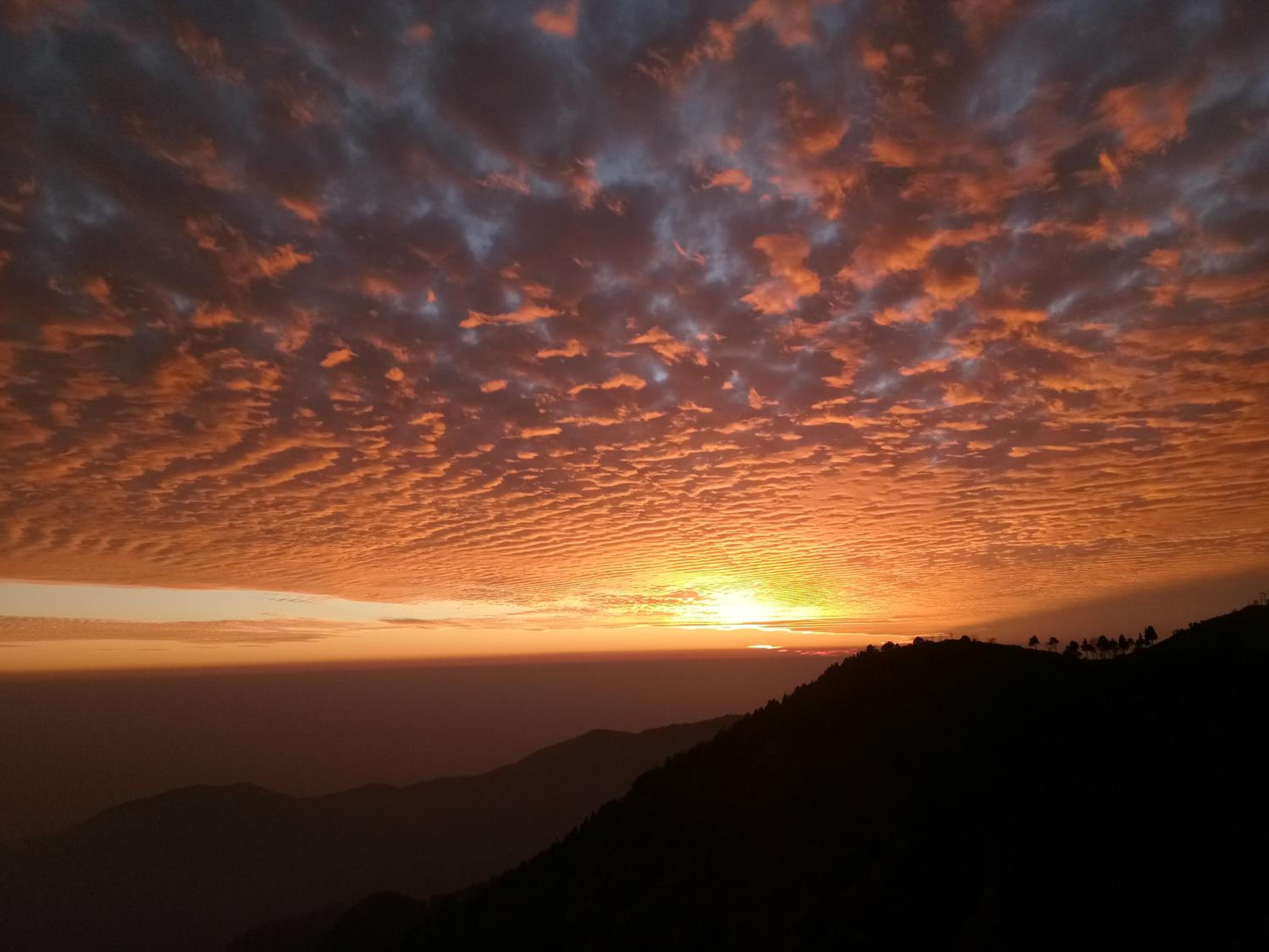 IN APPLE ESTATE KANATAL - Himalayan View Resort with Courteous Staff view 4