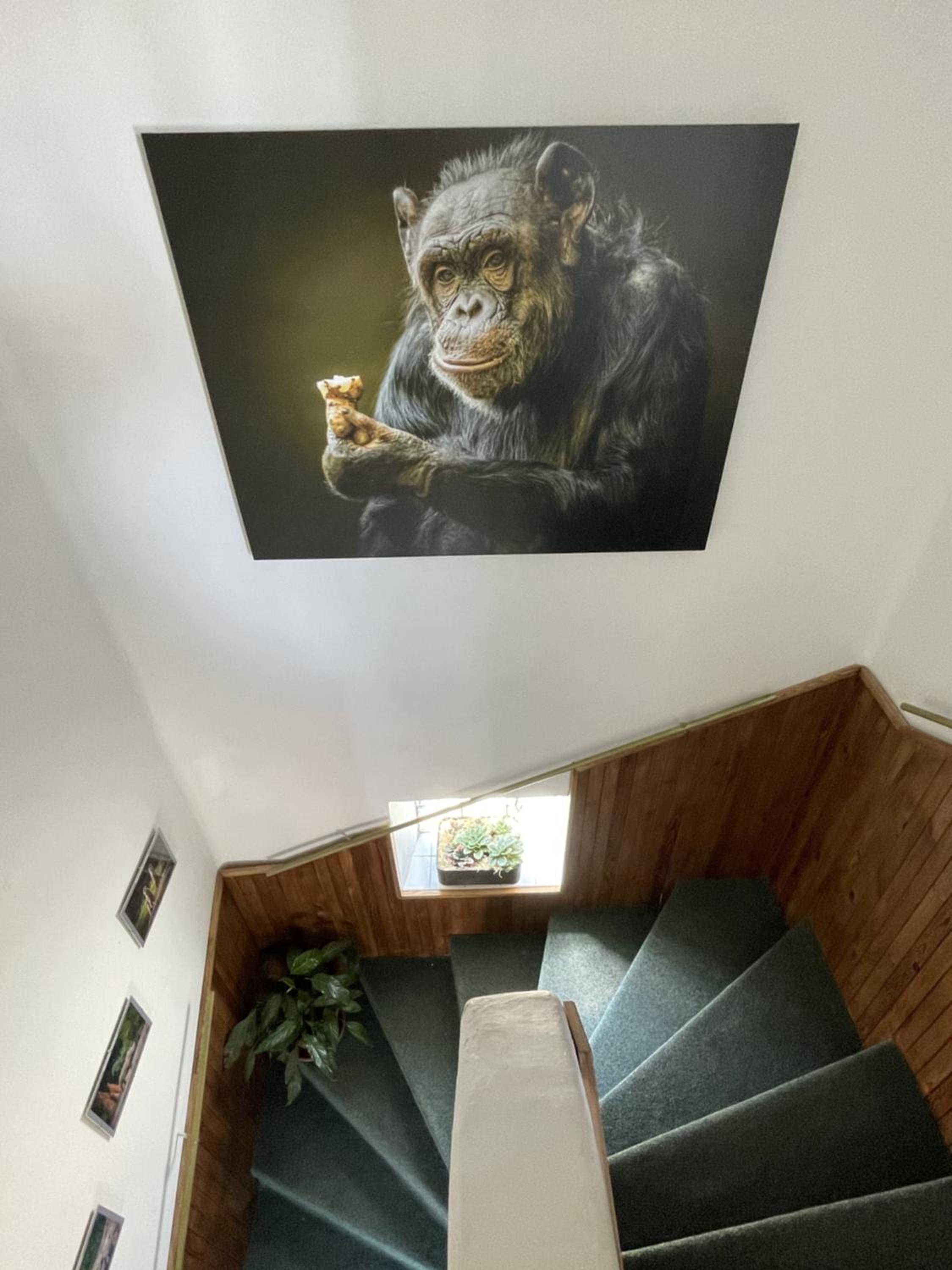 Penzion Slunečnice