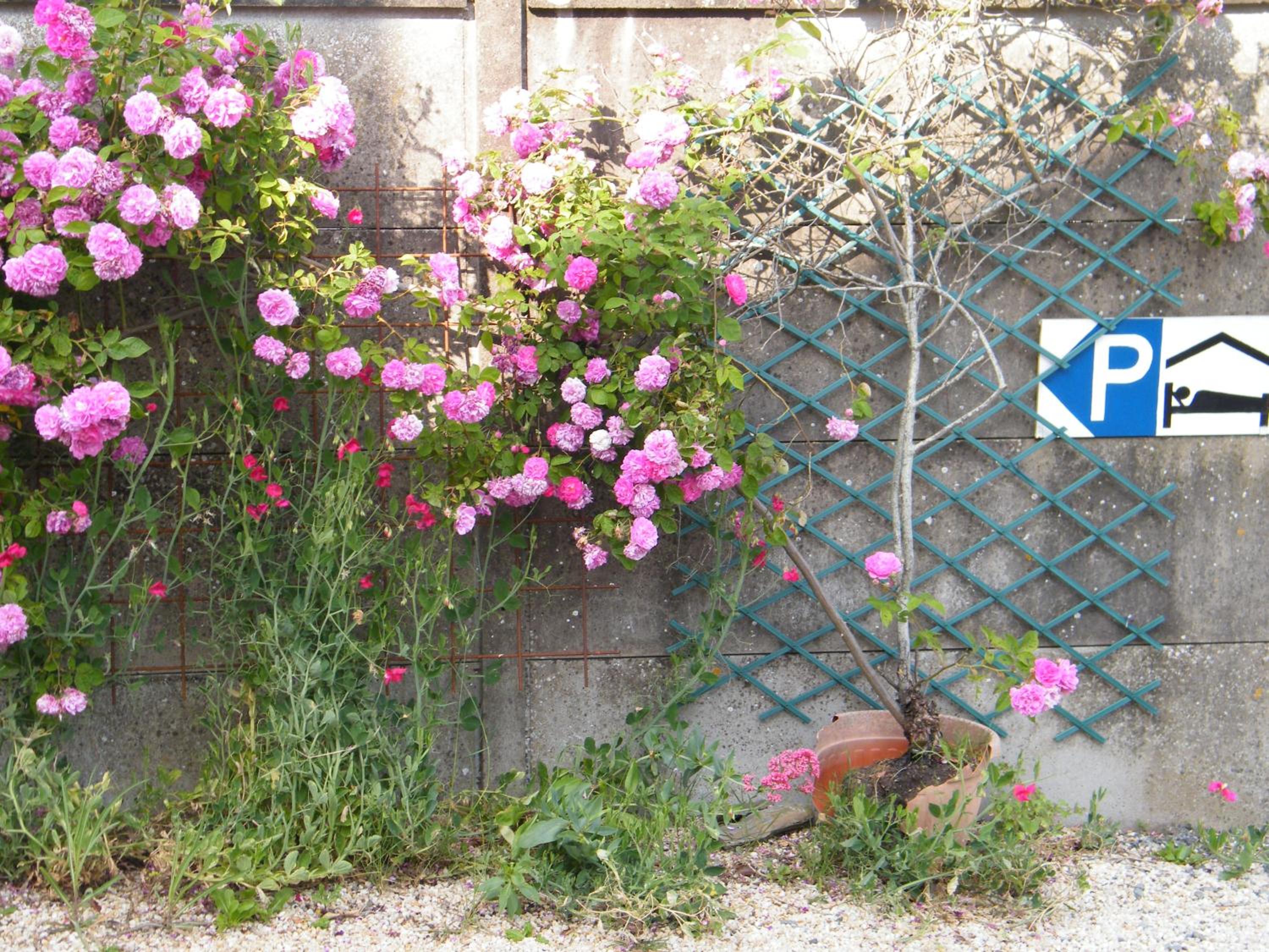 chez vous chez nous