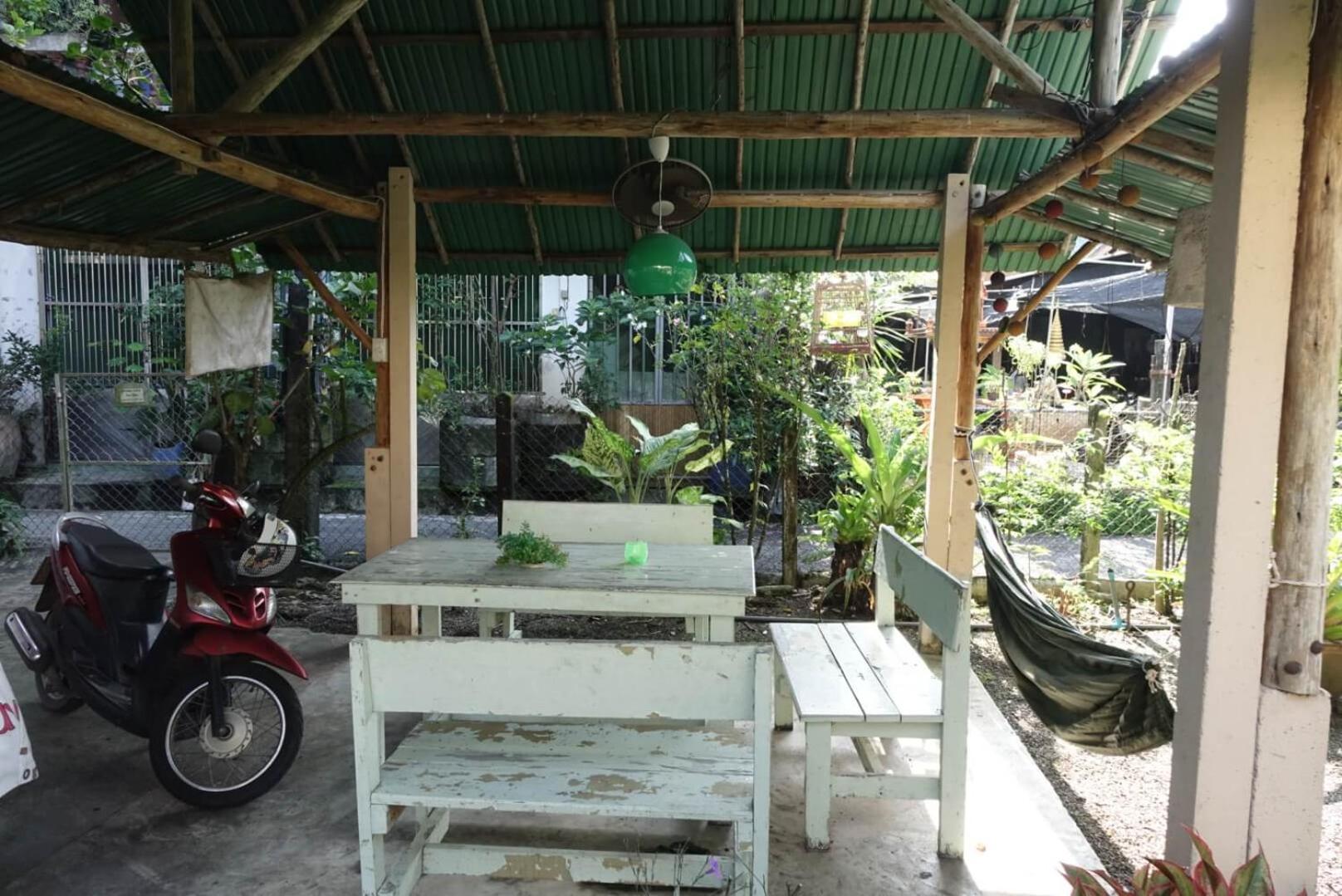 Orchid Guest House view 2
