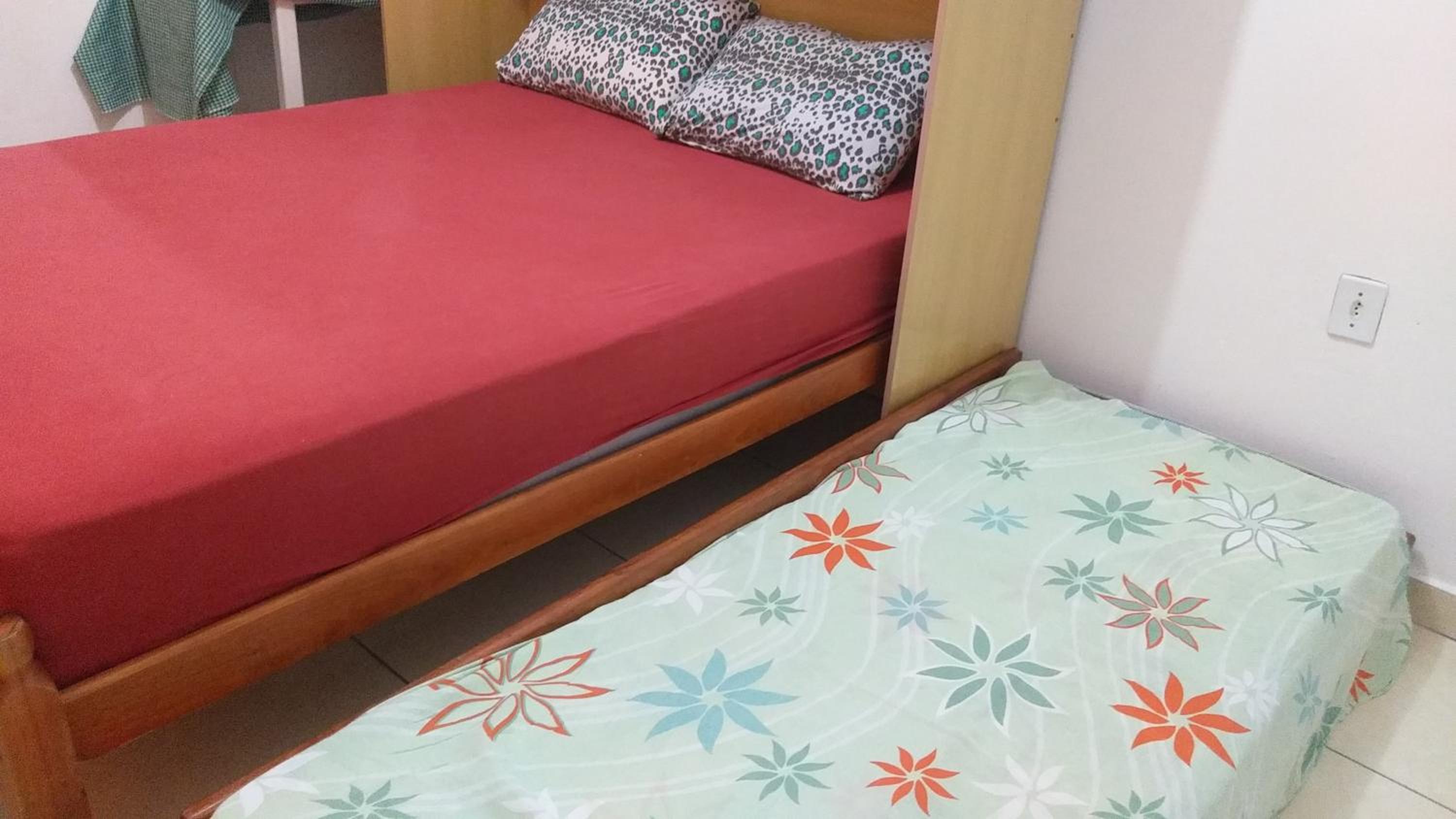 Tartaruga Azul
