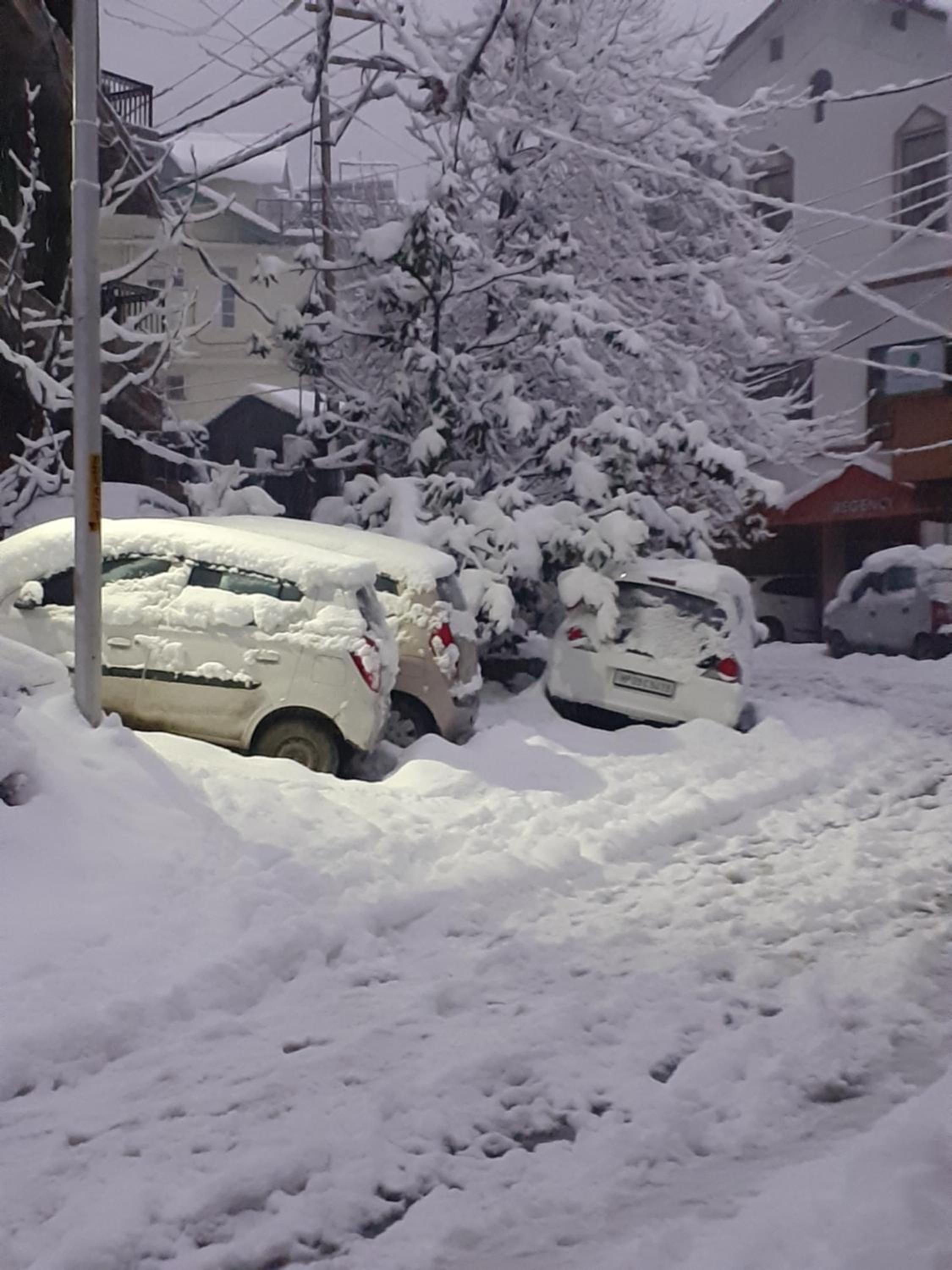 Anand Niketan Homestay Shimla