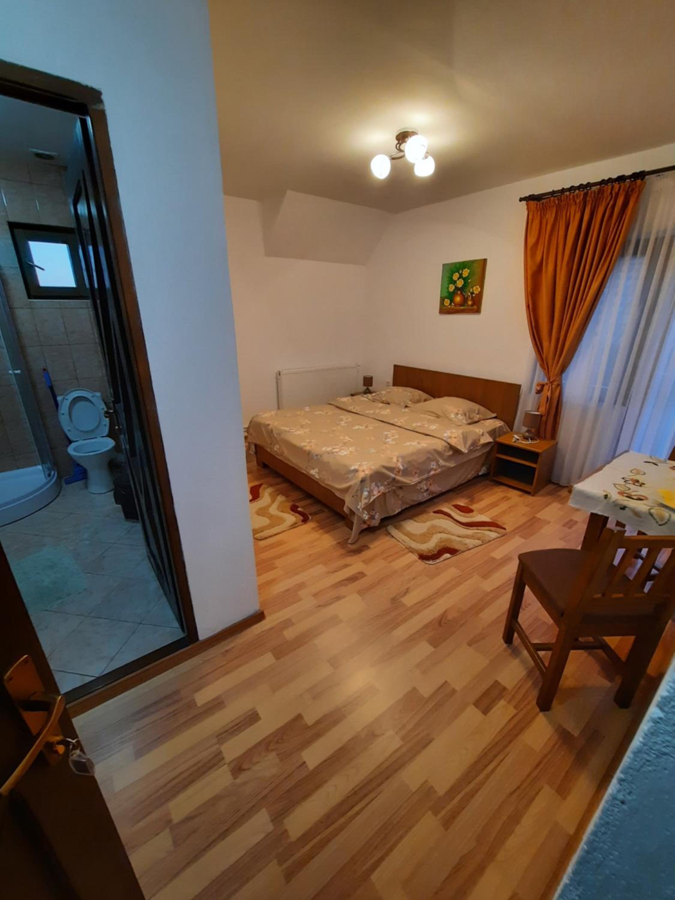 Pensiunea Maria-Elena view 5