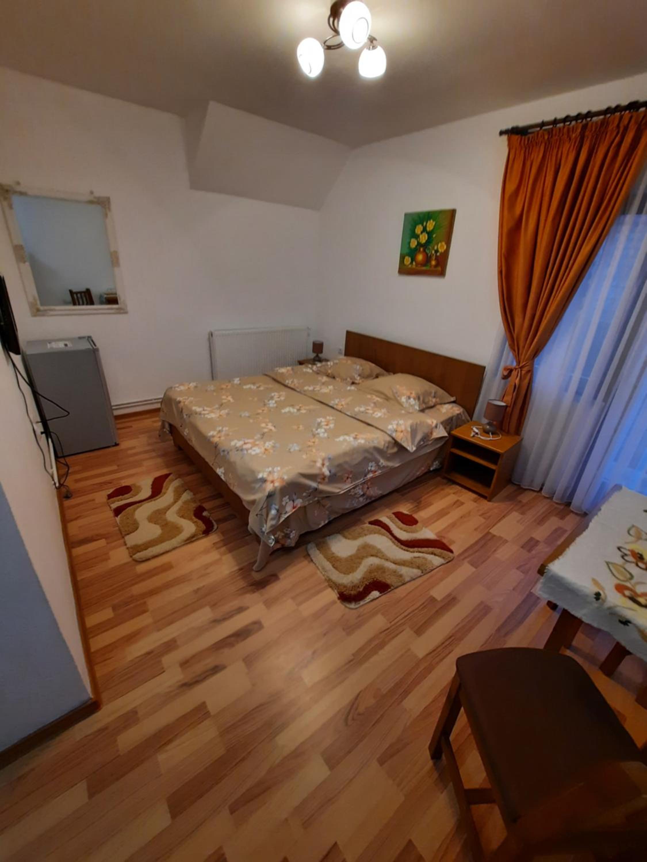 Pensiunea Maria-Elena view 3