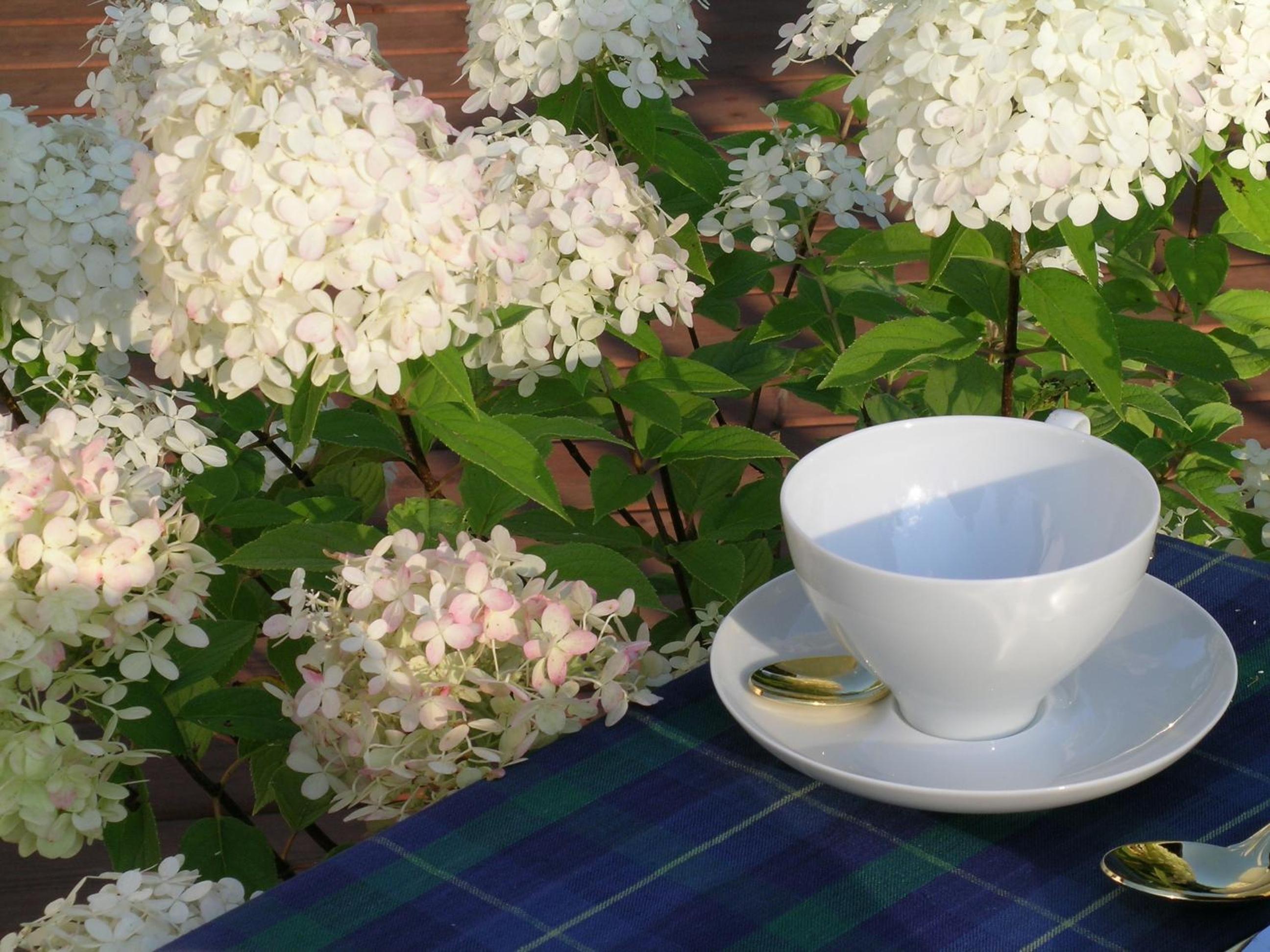 Plantation House Bed & Breakfast