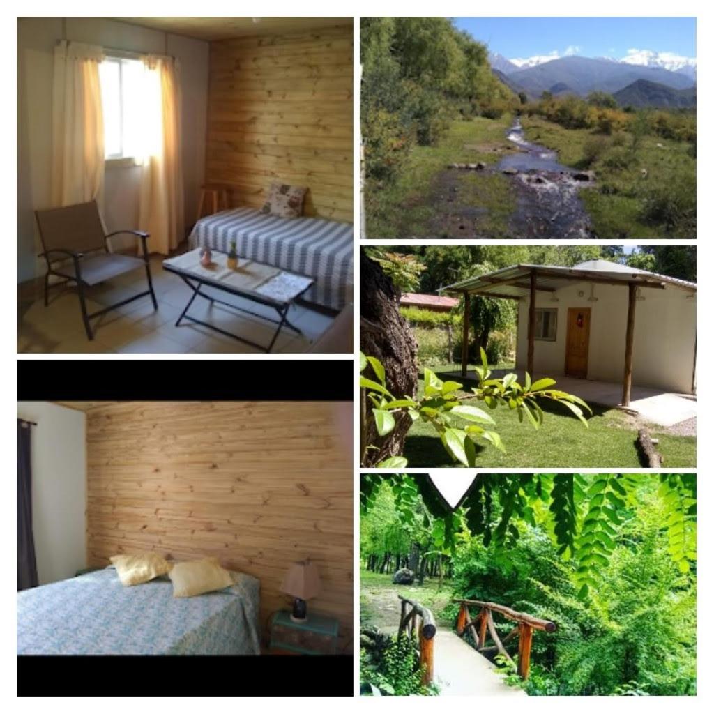 CABAÑA.Manzano histórico. Paz y montaña