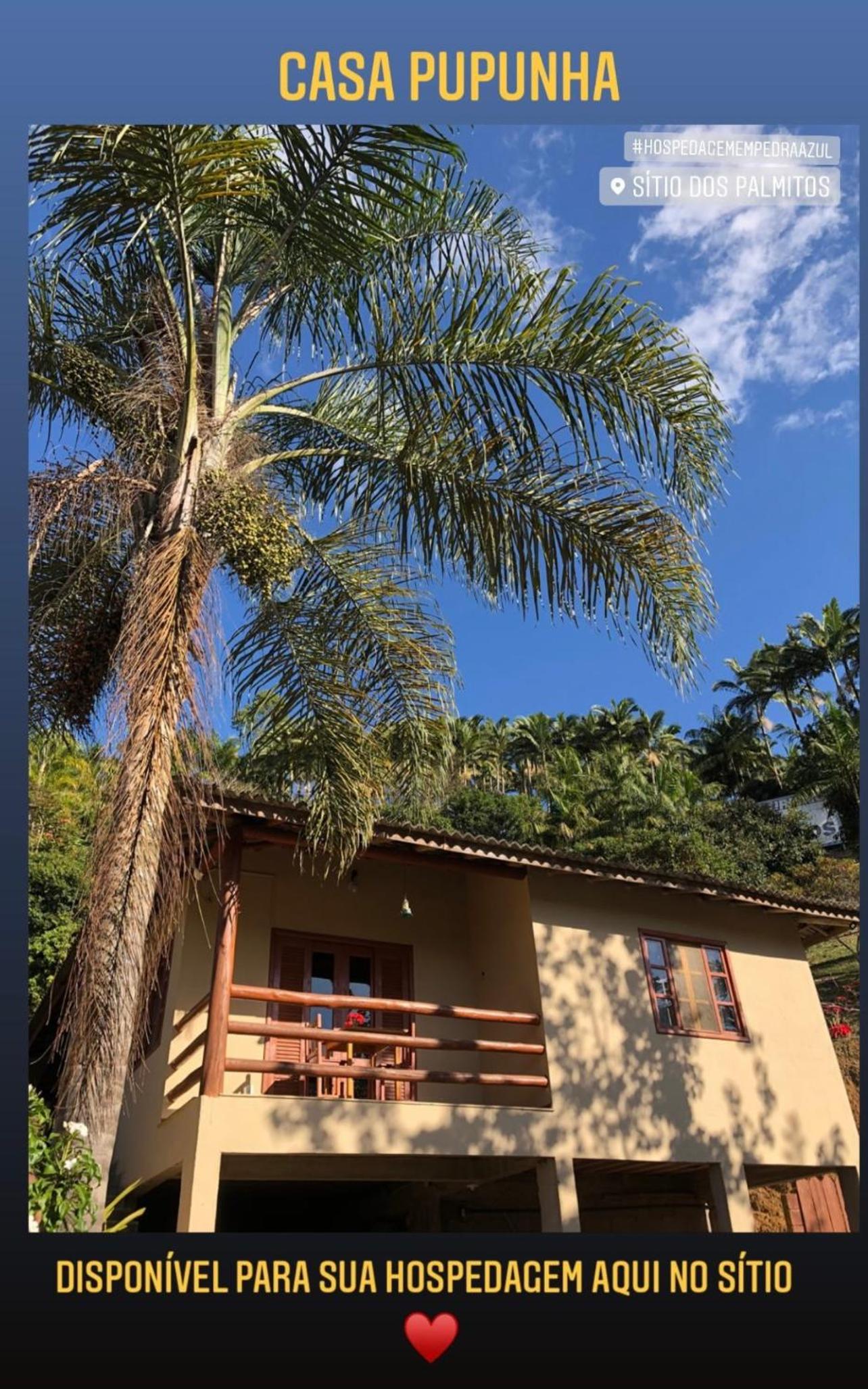 Sitio dos Palmitos - Casa Pupunha