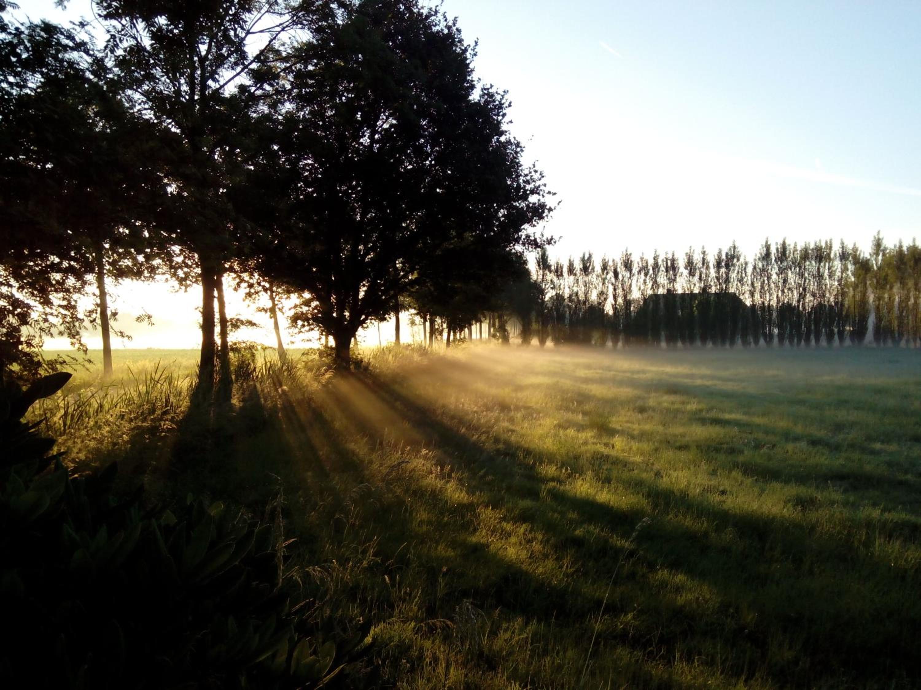 Photo 50