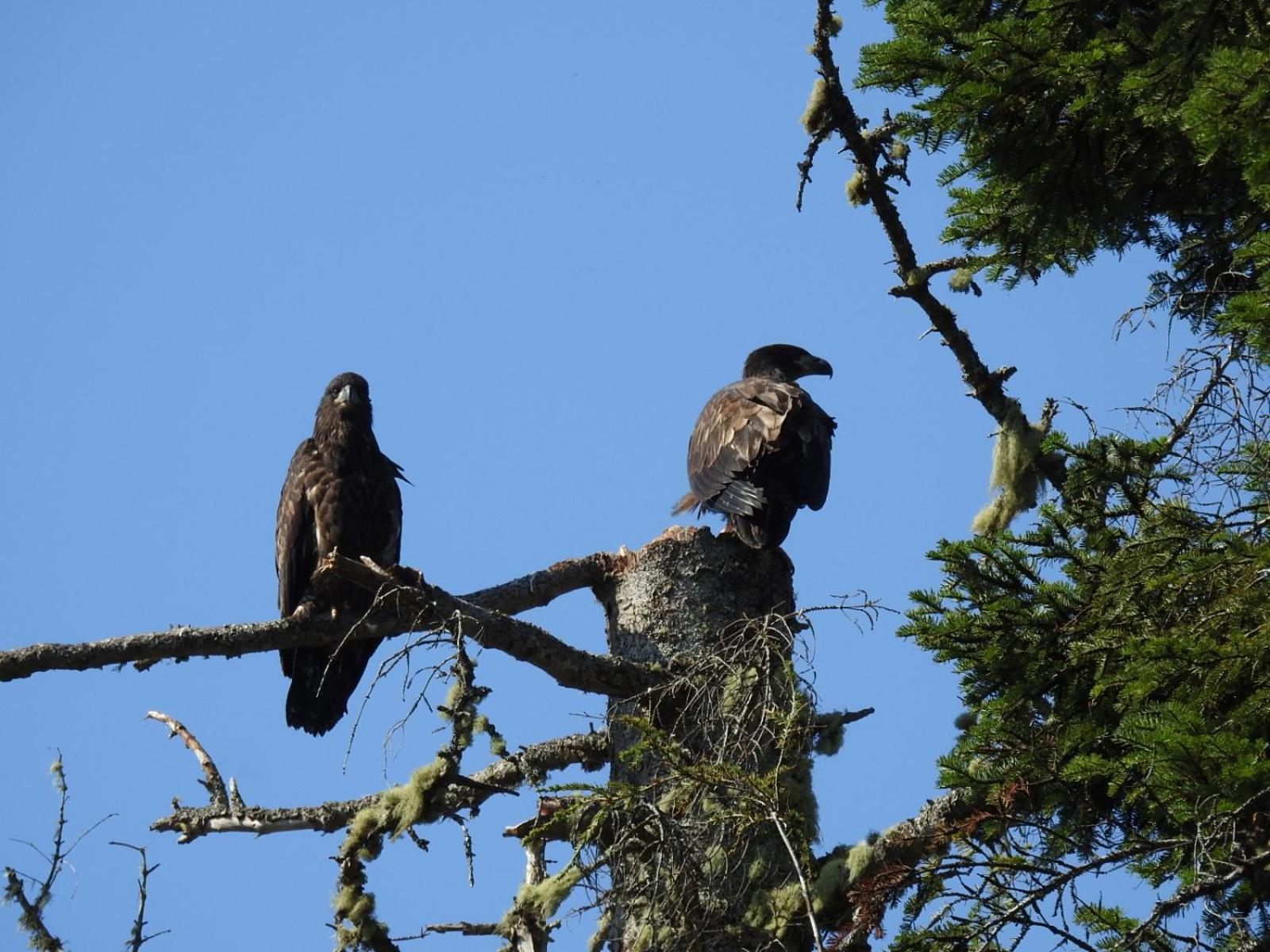 Photo 76