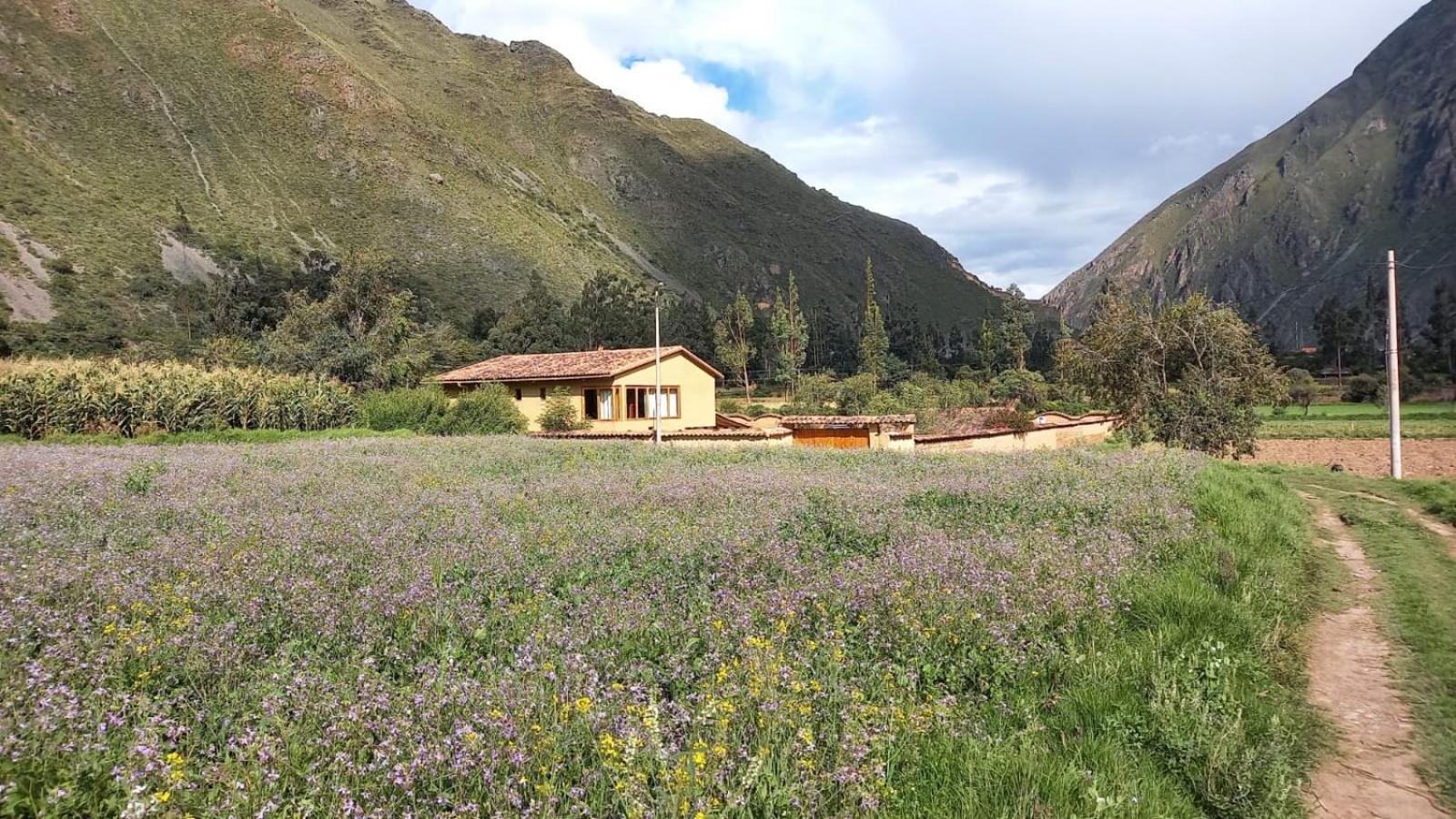 Photo 21