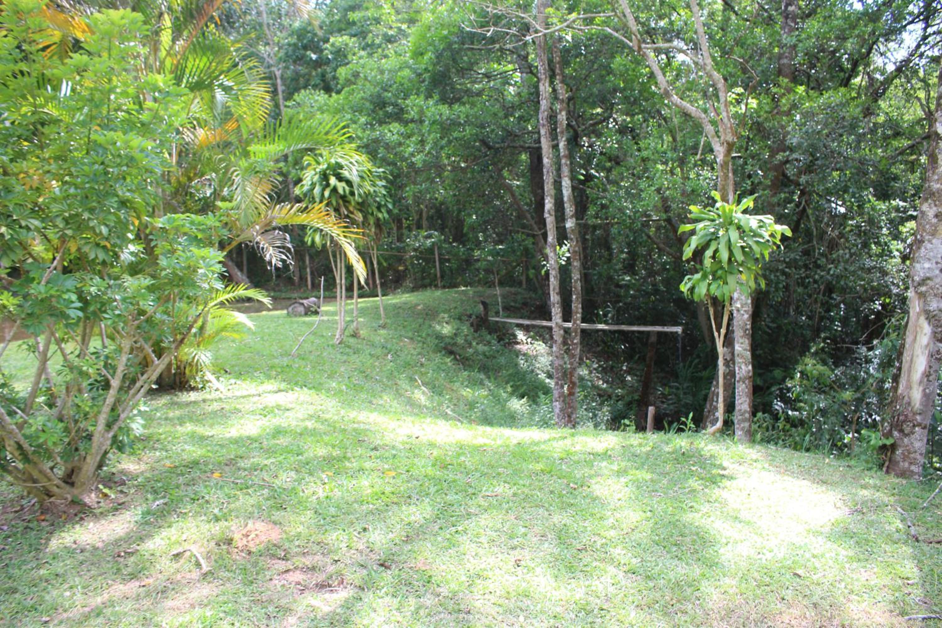 Photo 30