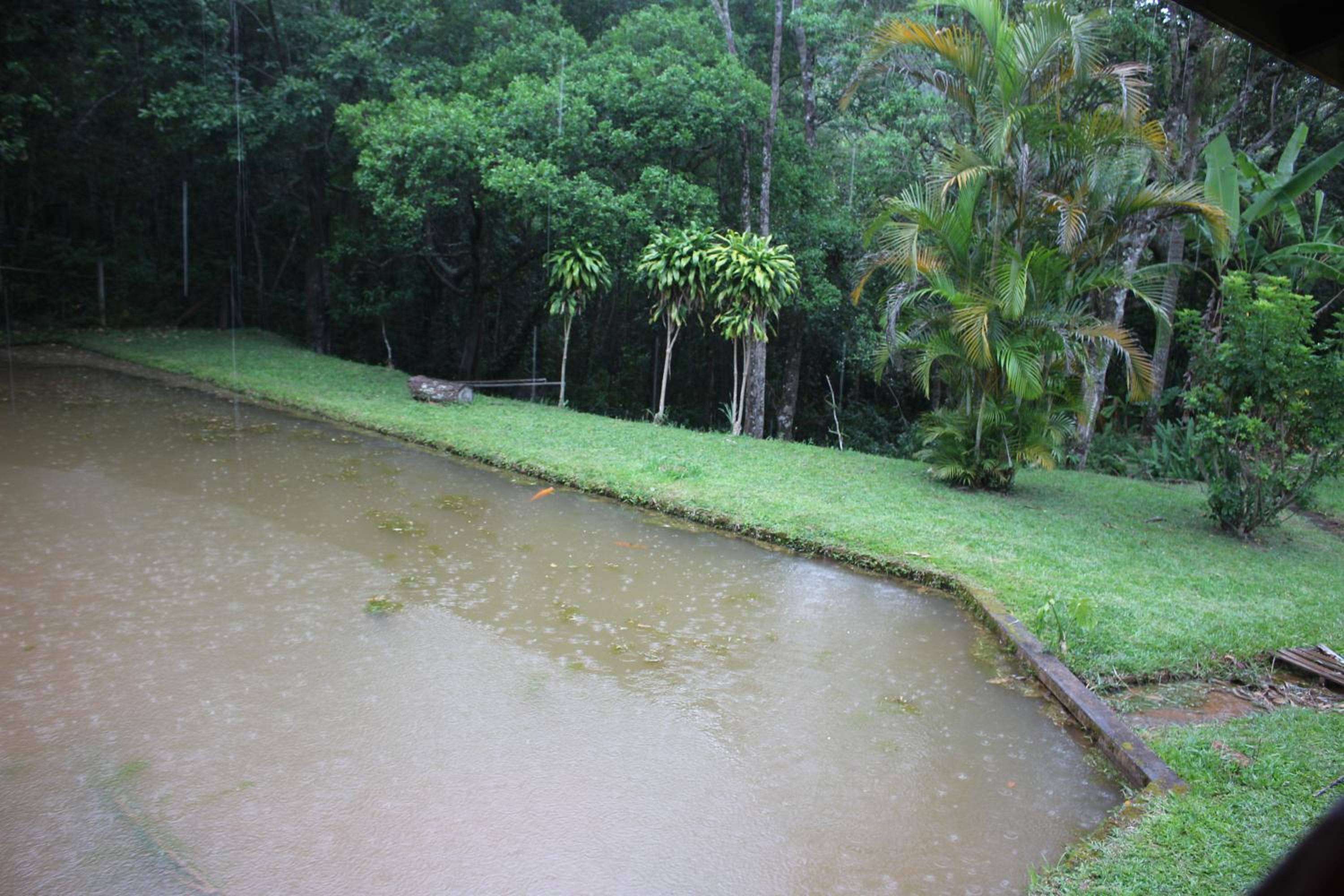 Photo 26