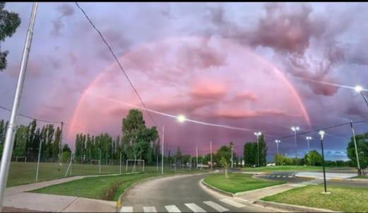 Terra DO Viño