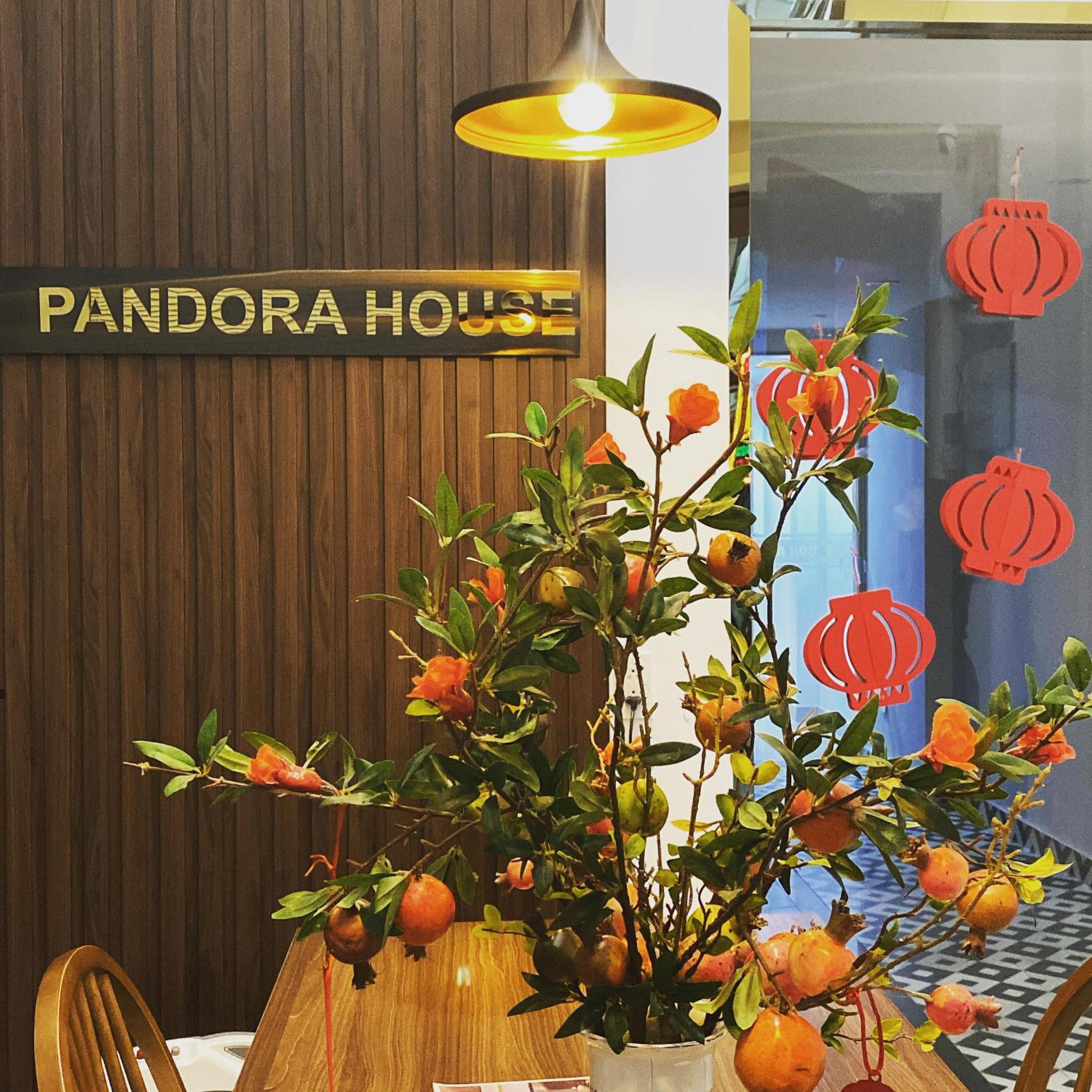 PANDORA HOUSE