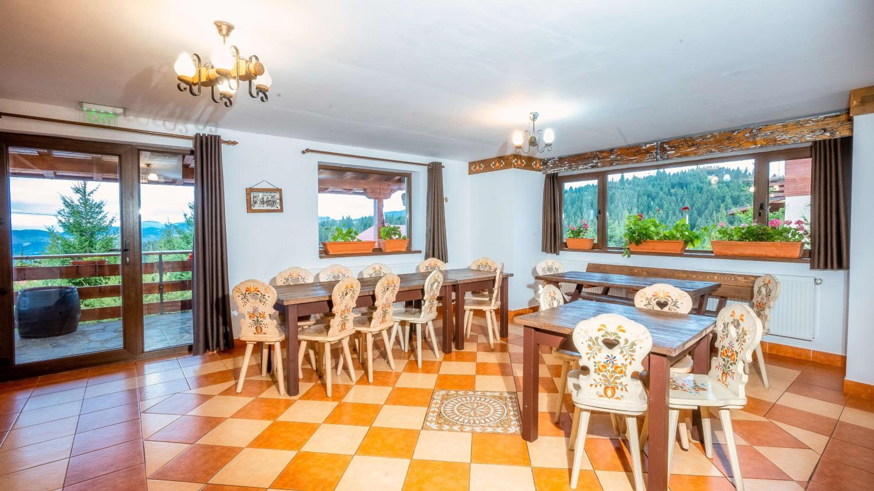 Vila Stefana Paltinis view 3