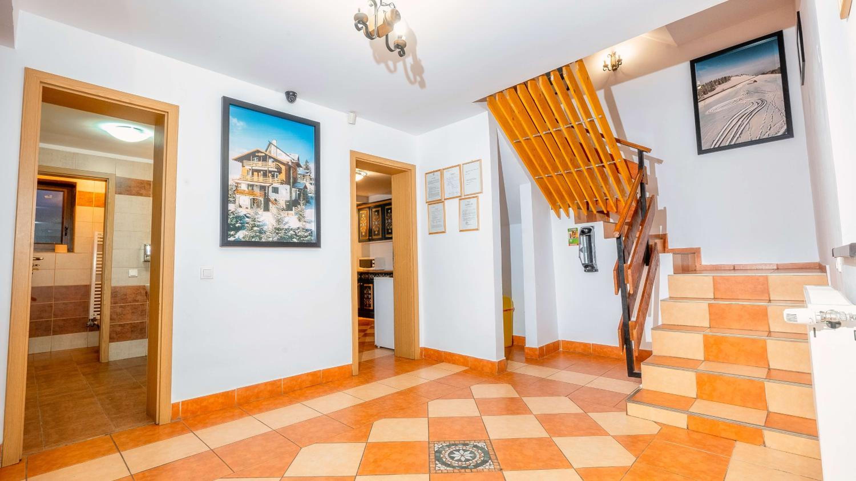 Vila Stefana Paltinis view 5