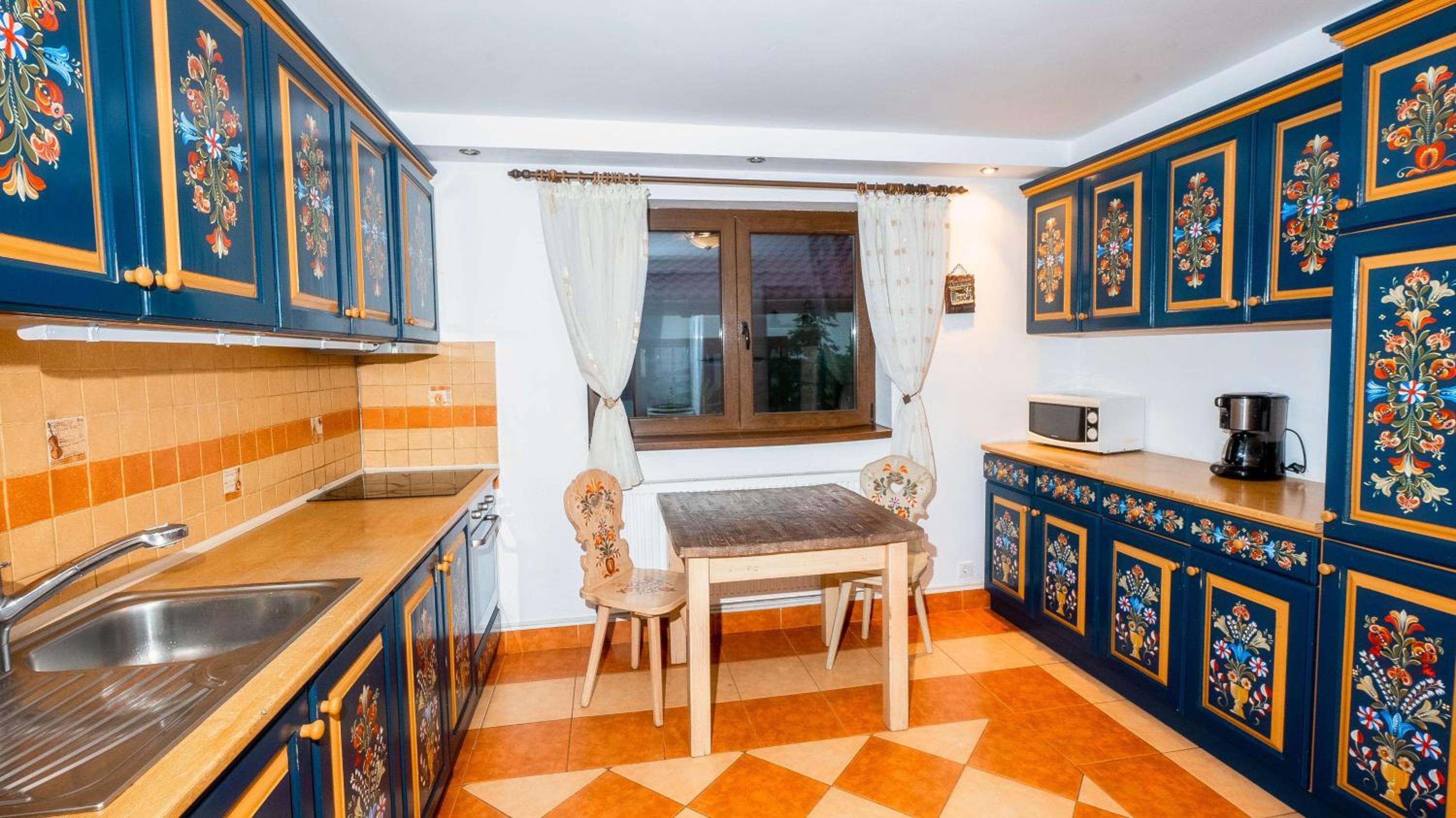 Vila Stefana Paltinis view 4