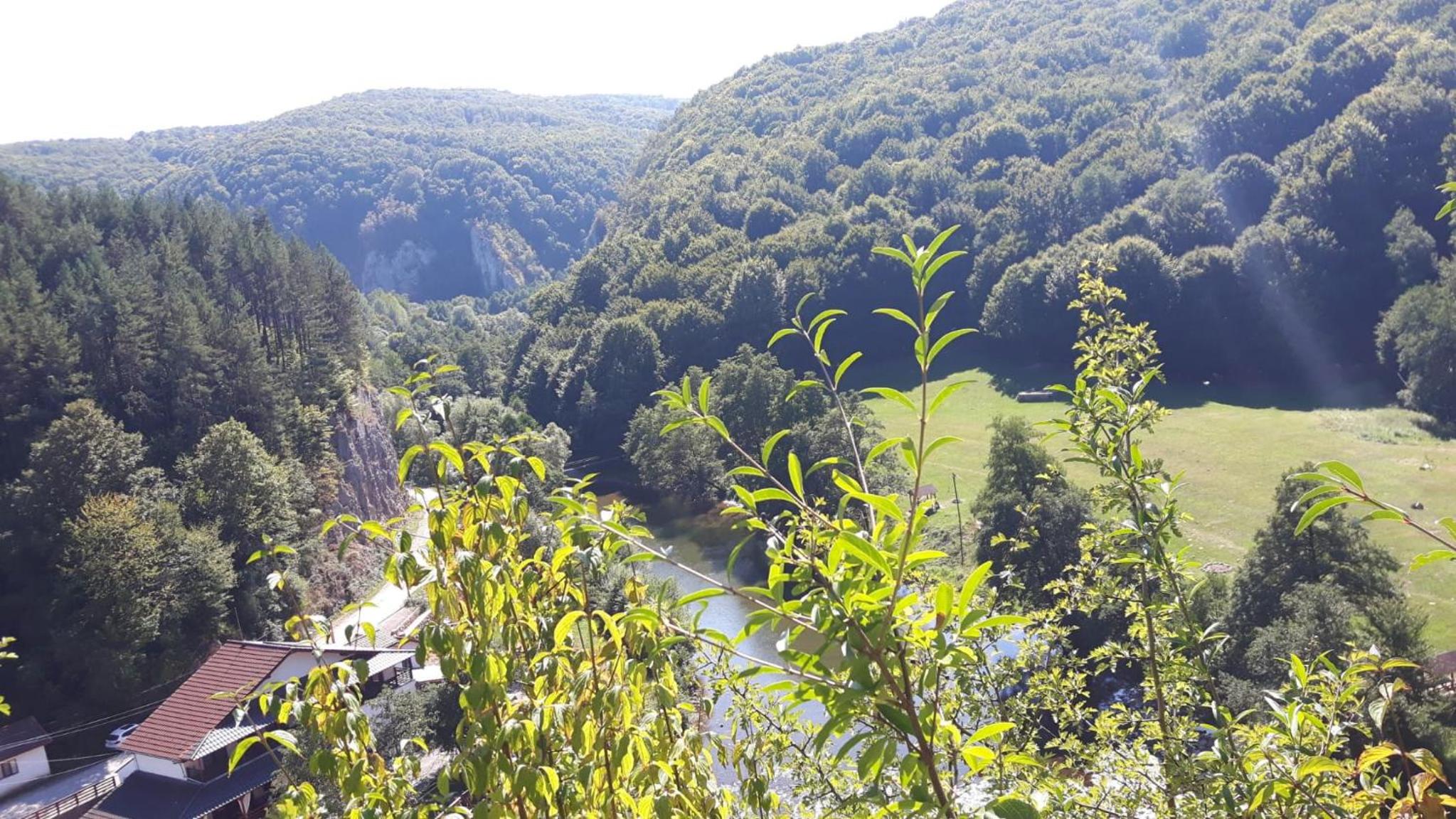 Pensiunea Tarina view 4