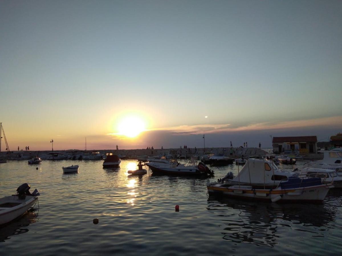 Photo 49
