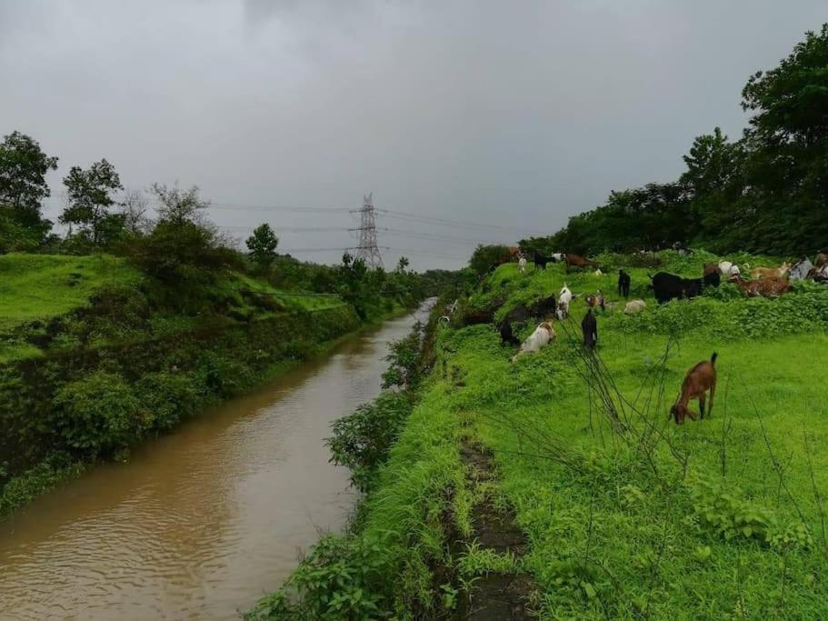 RS Farmstay
