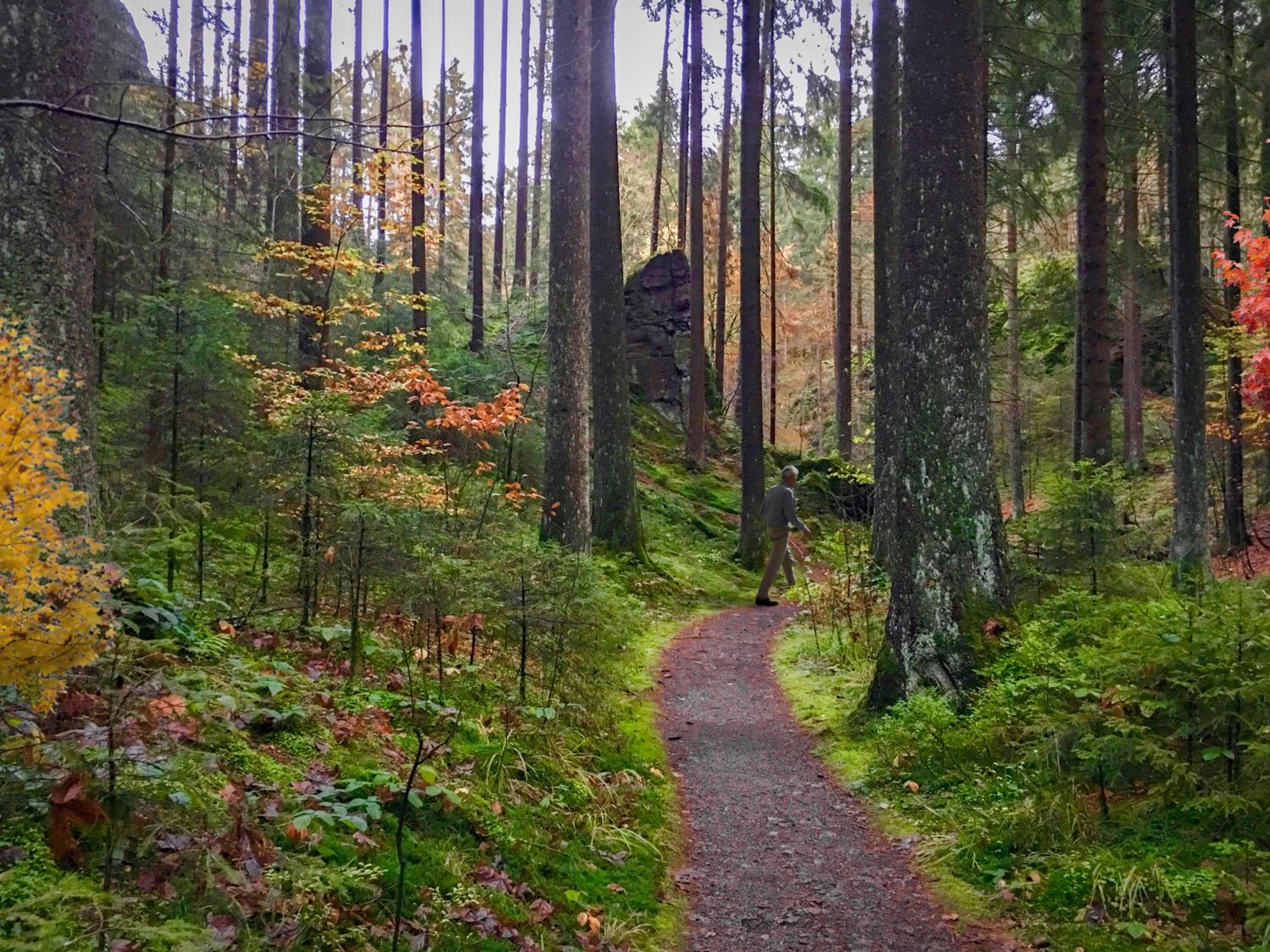 HARZ HOTEL und Gästehaus am Bornweg
