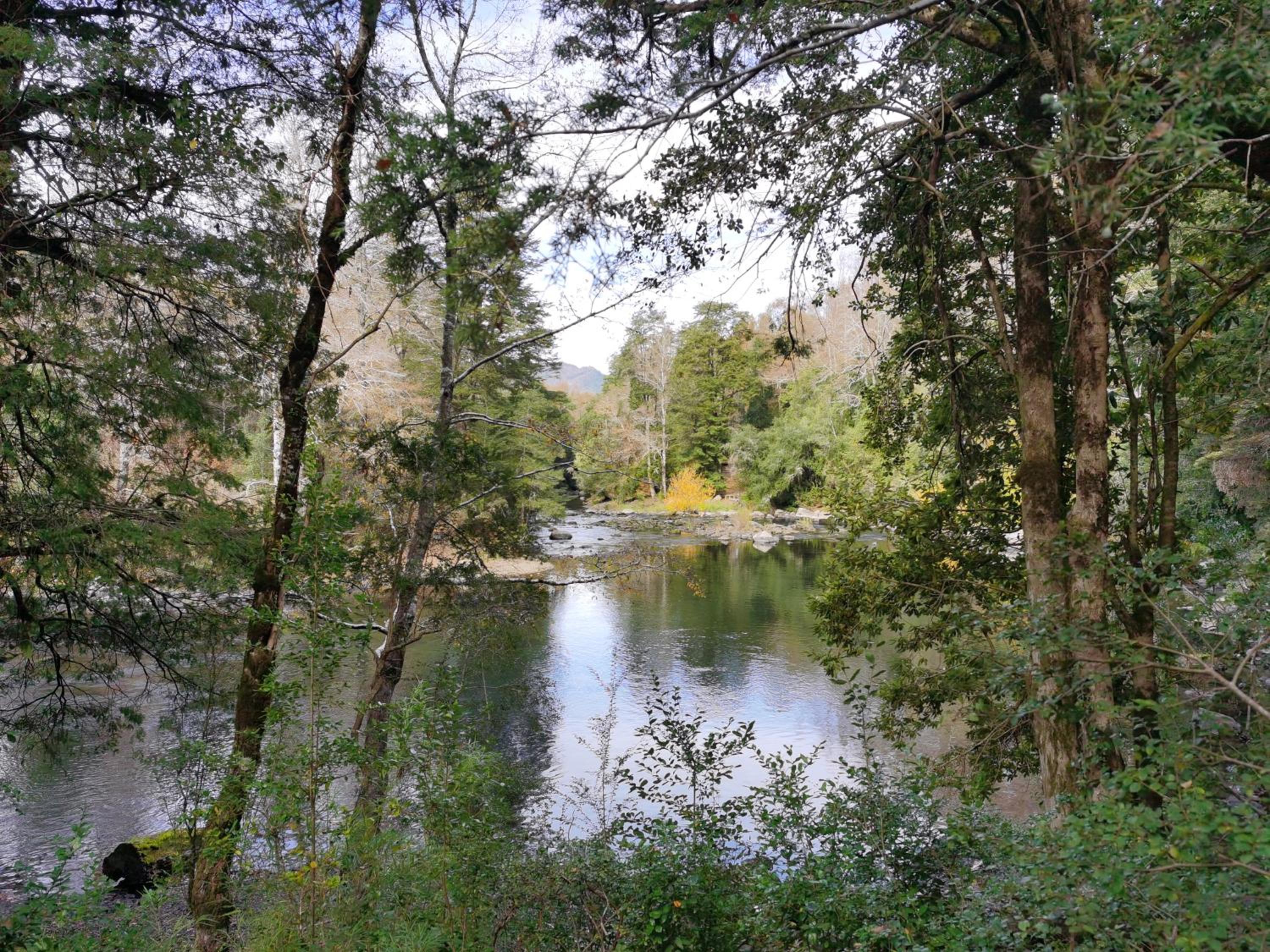 Lodge Rio Encantado, Pucon