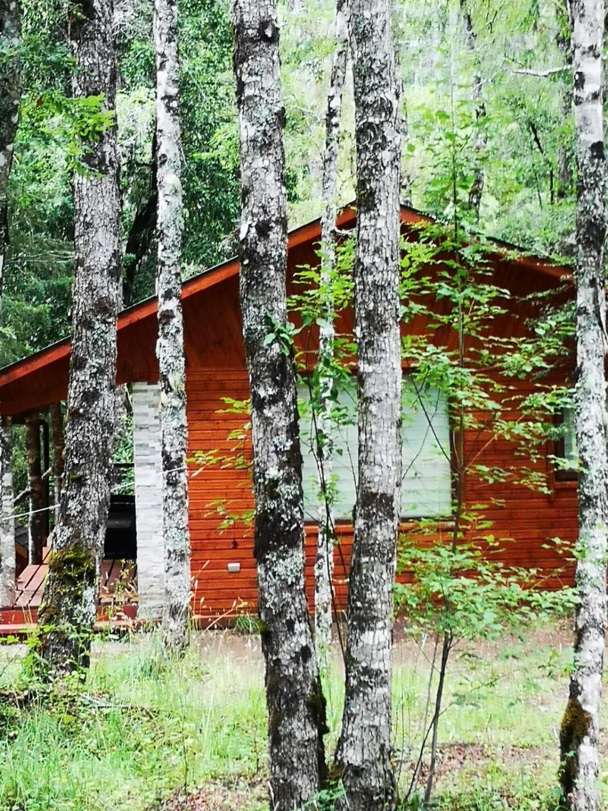 Lodge Rio Encantado, Pucon